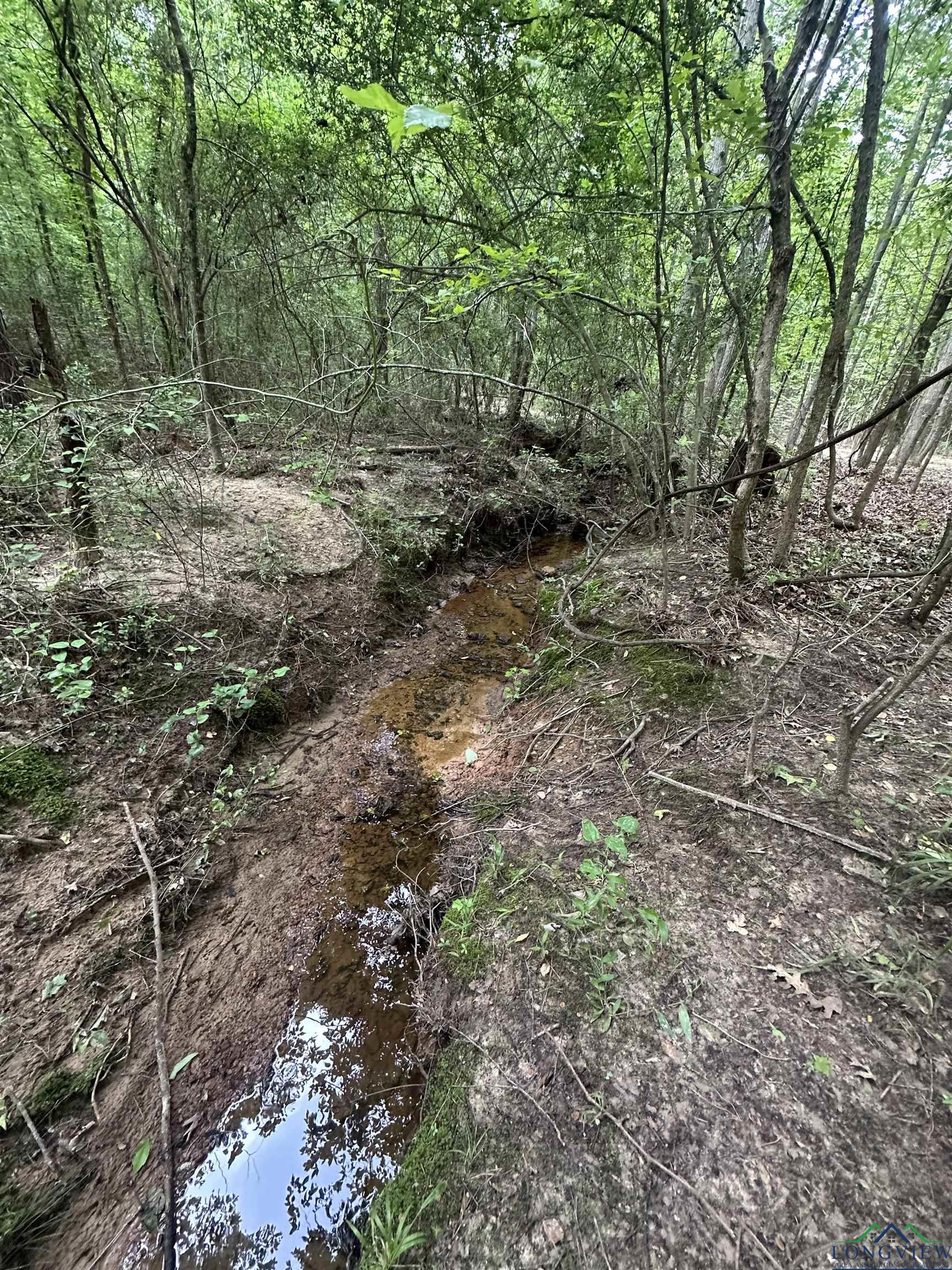TBD Aster Road, Gilmer, Texas image 12
