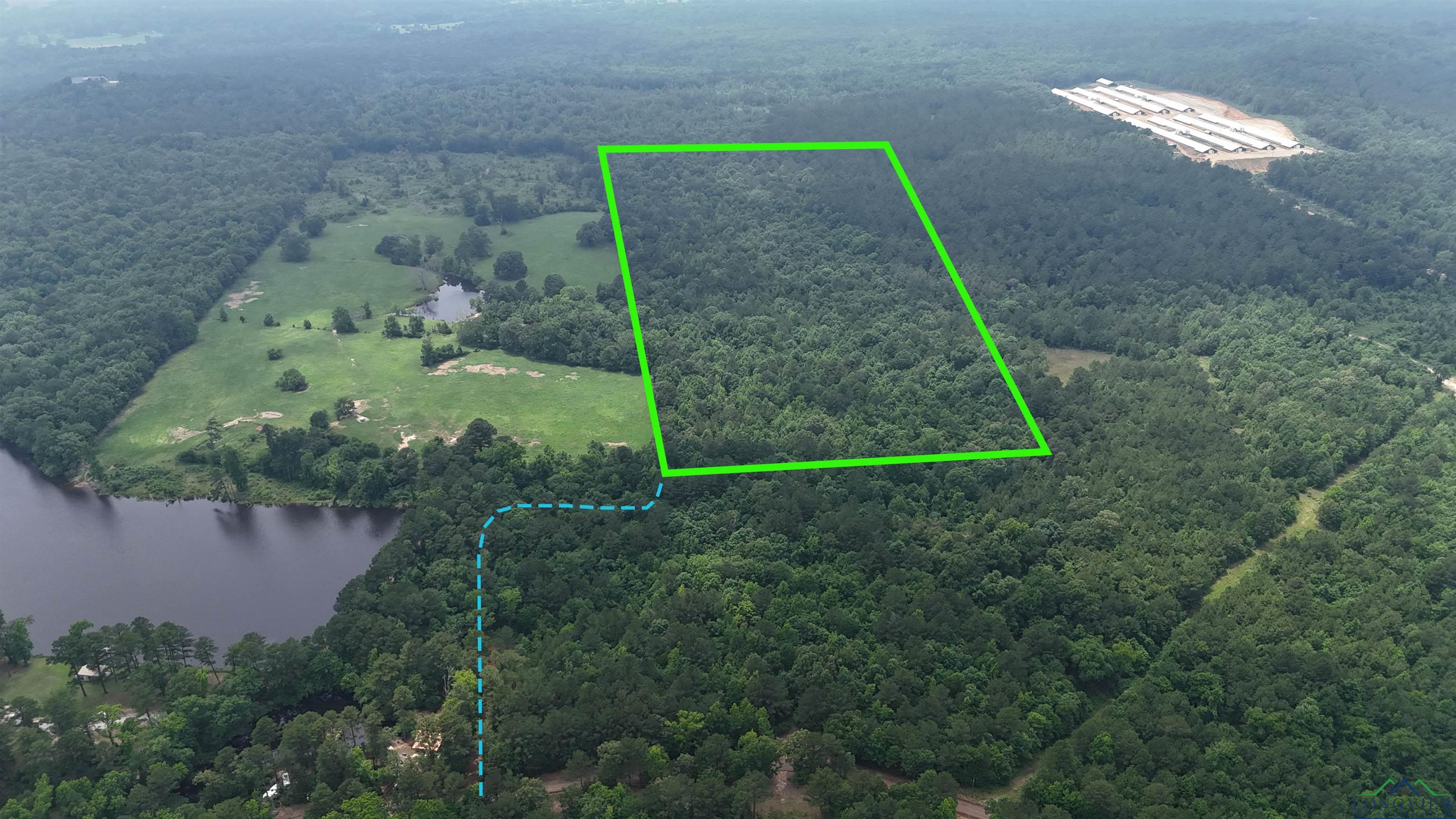 TBD Aster Road, Gilmer, Texas image 1