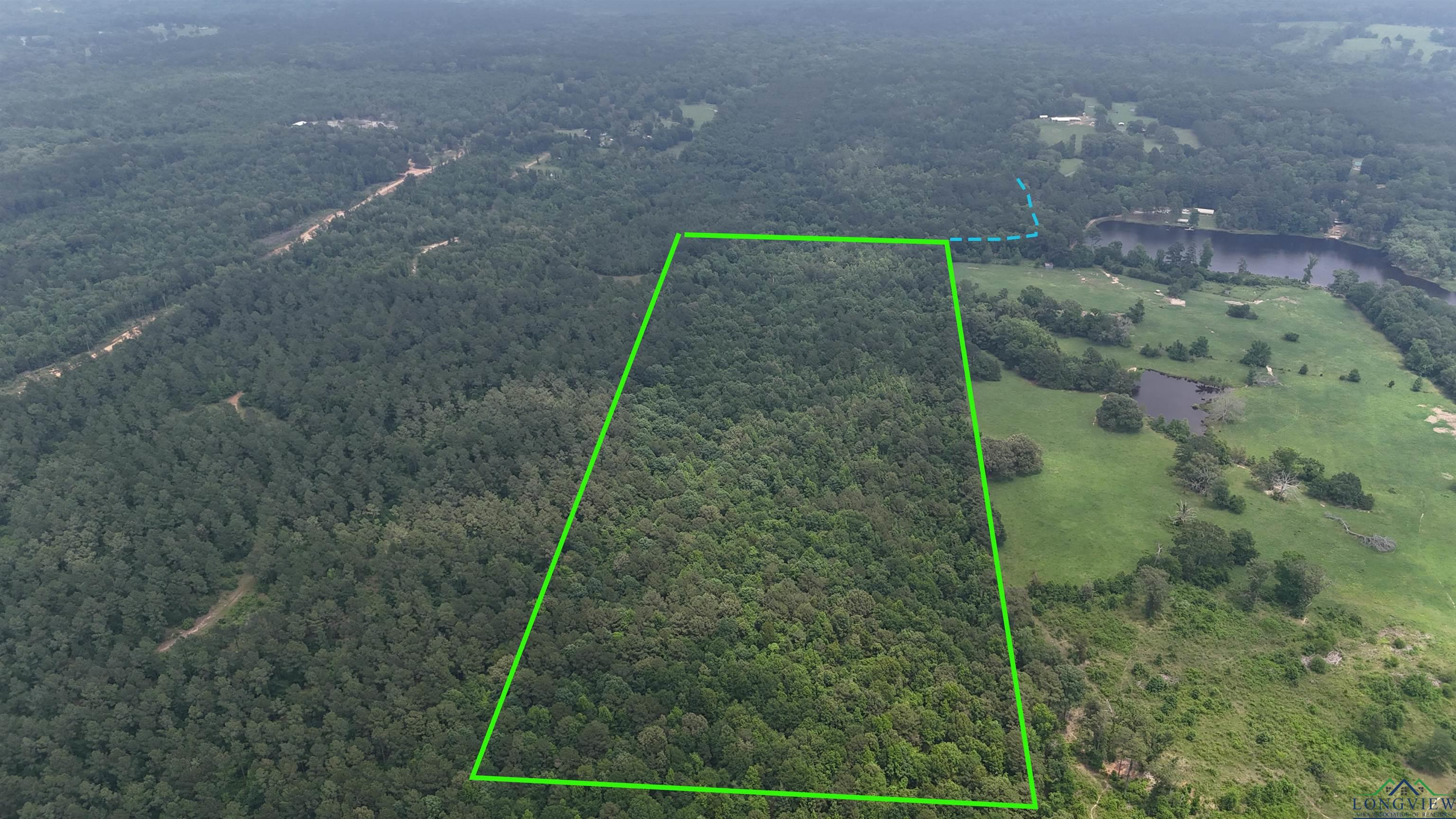TBD Aster Road, Gilmer, Texas image 3