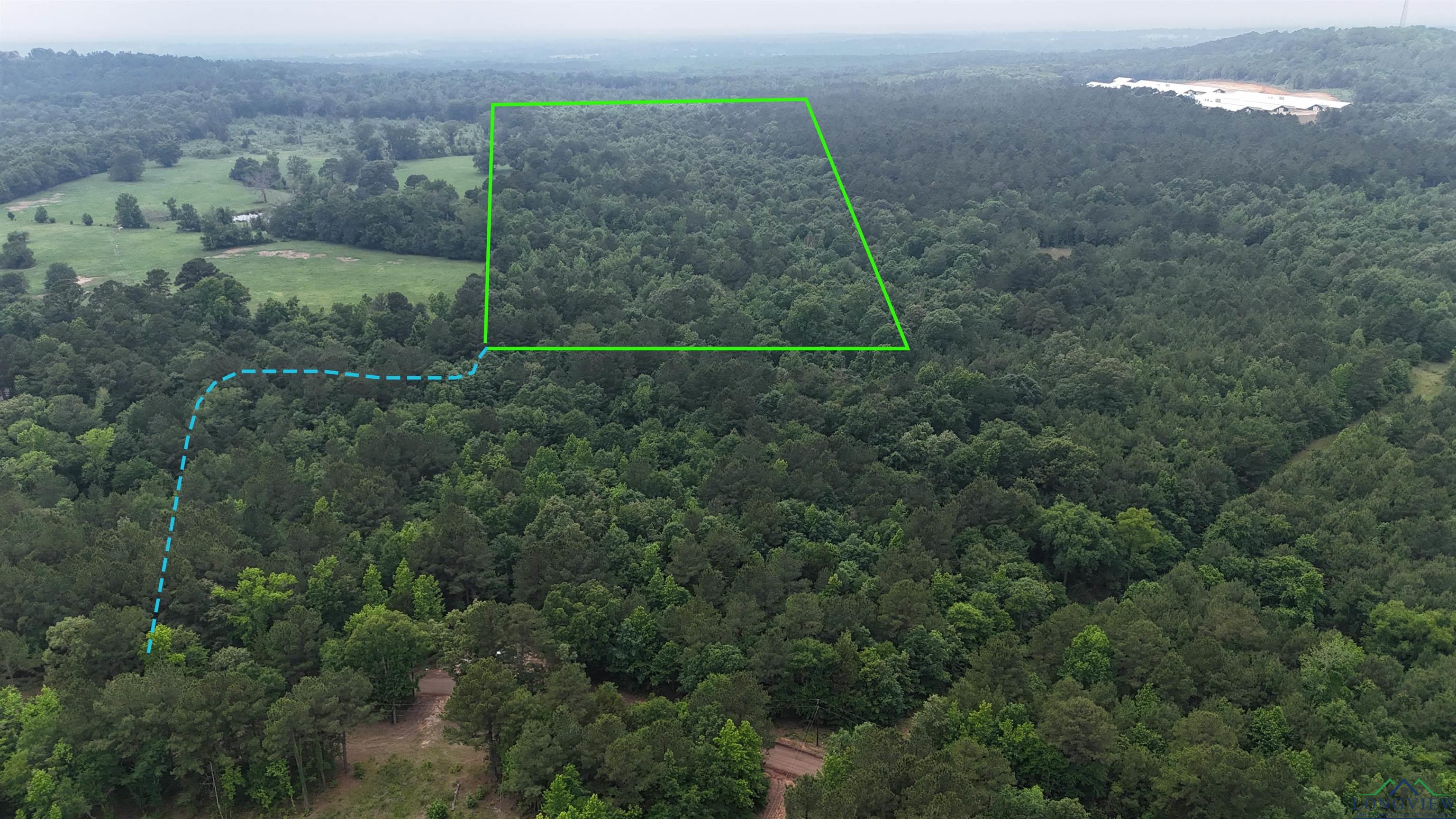 TBD Aster Road, Gilmer, Texas image 2