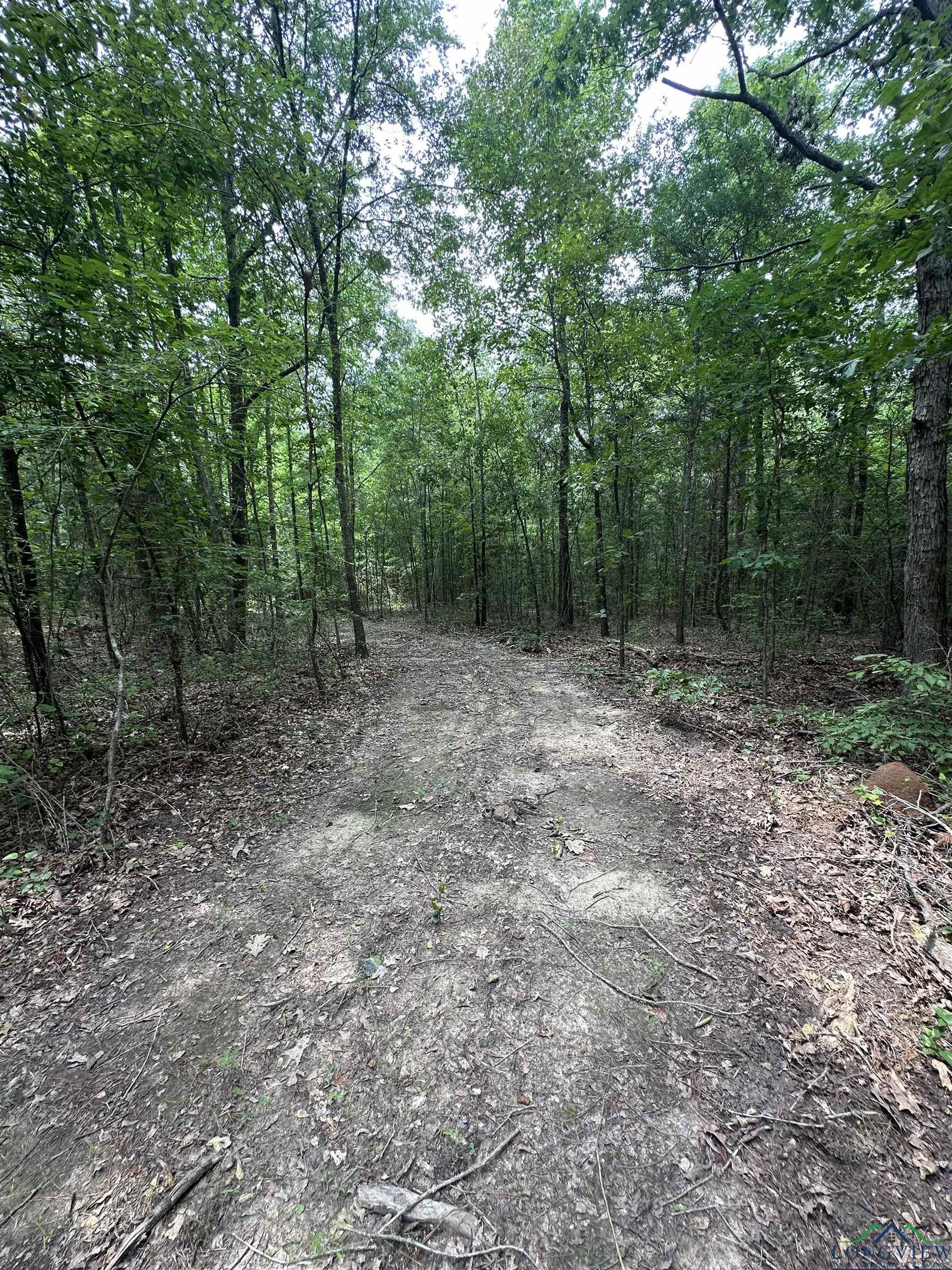 TBD Aster Road, Gilmer, Texas image 5