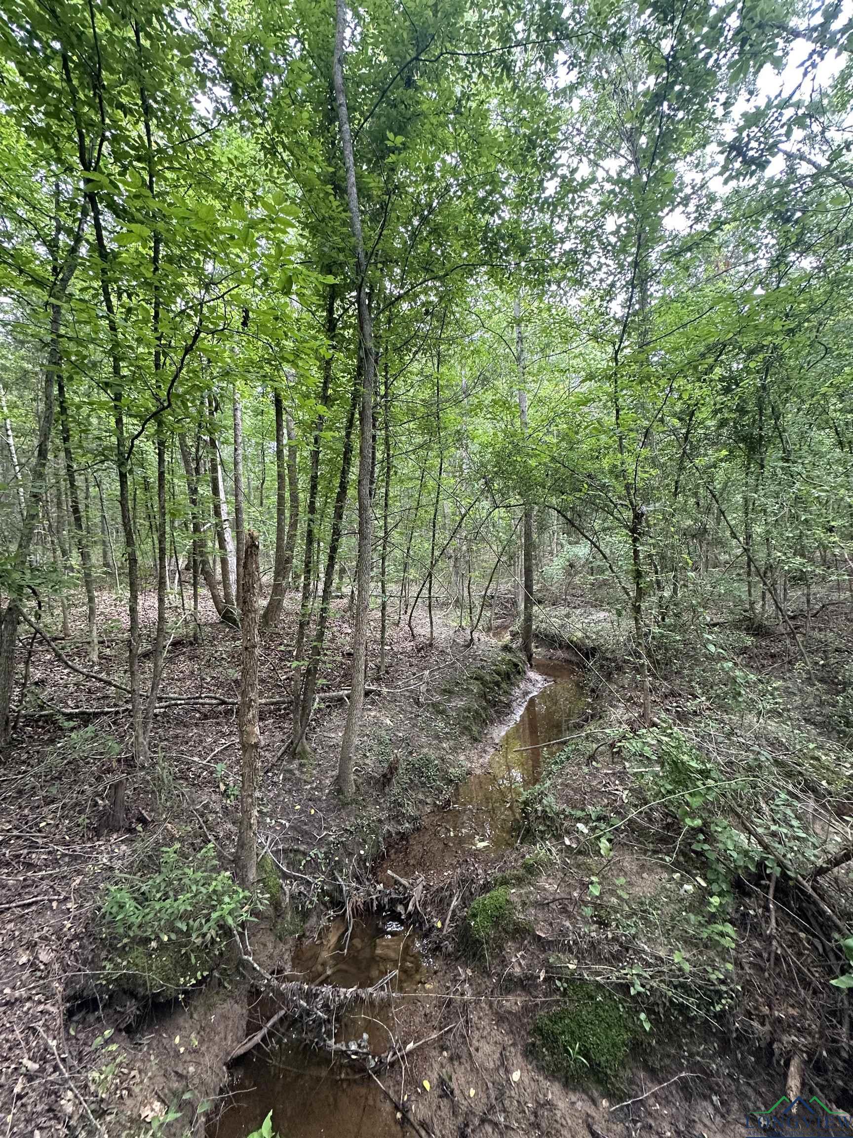 TBD Aster Road, Gilmer, Texas image 15