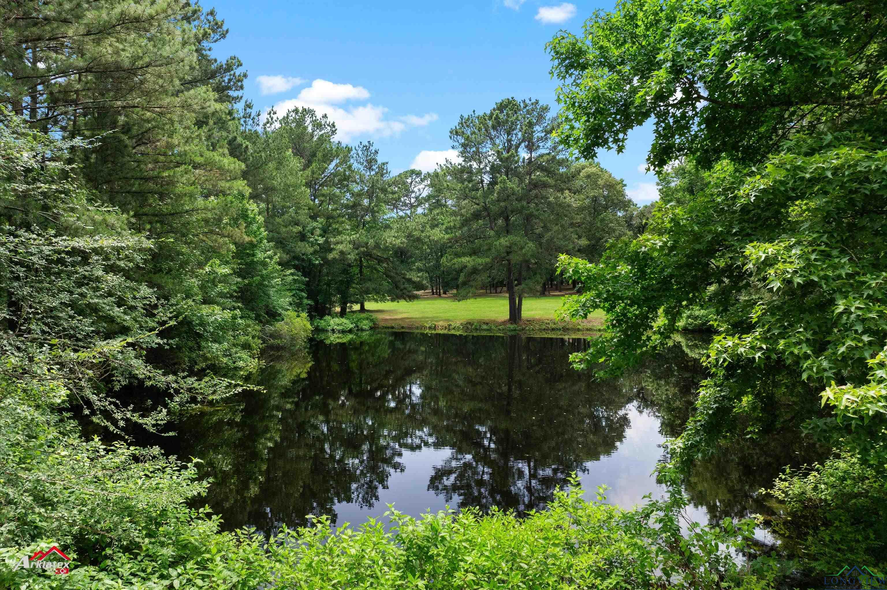 529 Munden Dance Hall Rd, Marshall, Texas image 38