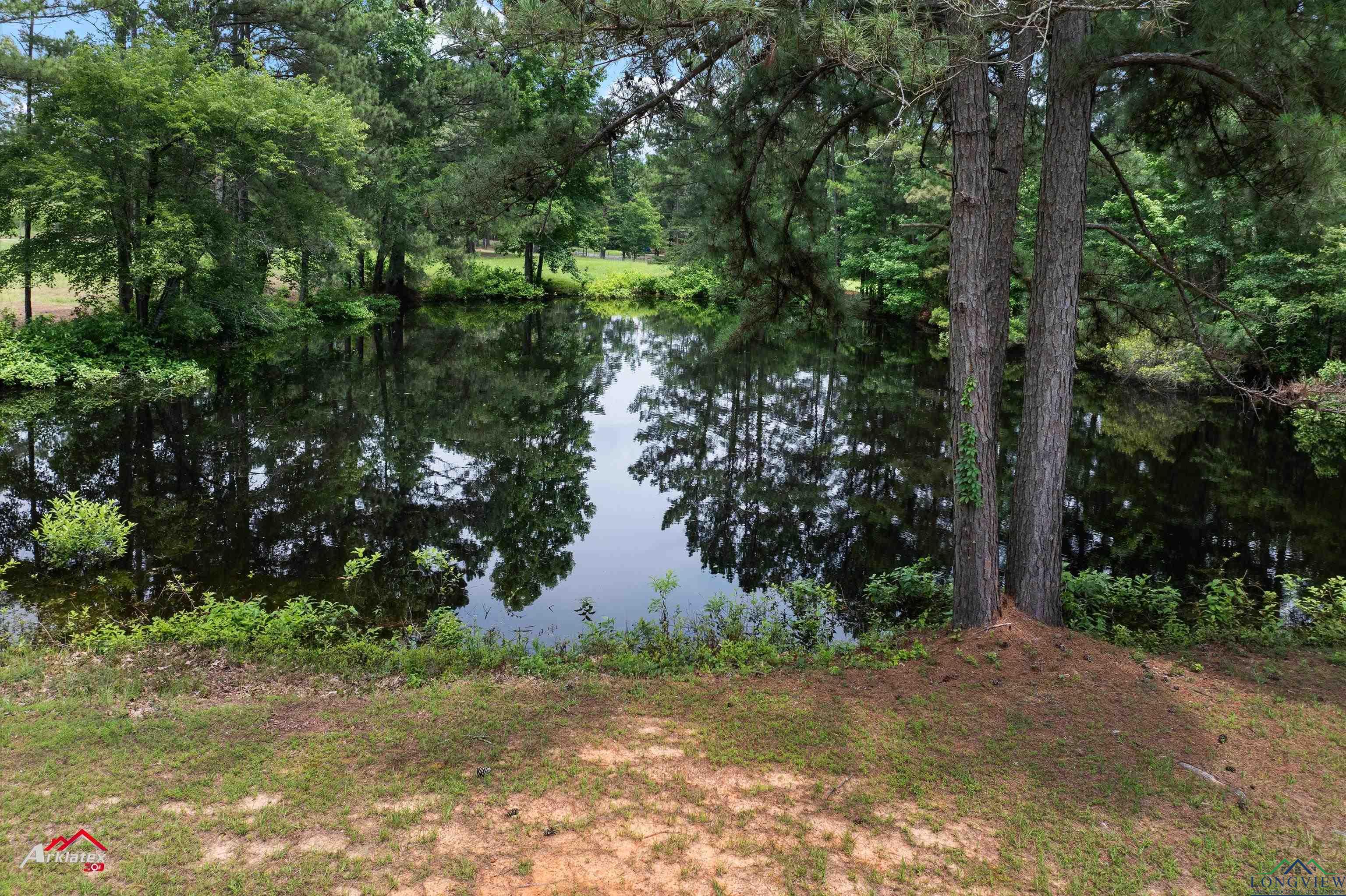 529 Munden Dance Hall Rd, Marshall, Texas image 35