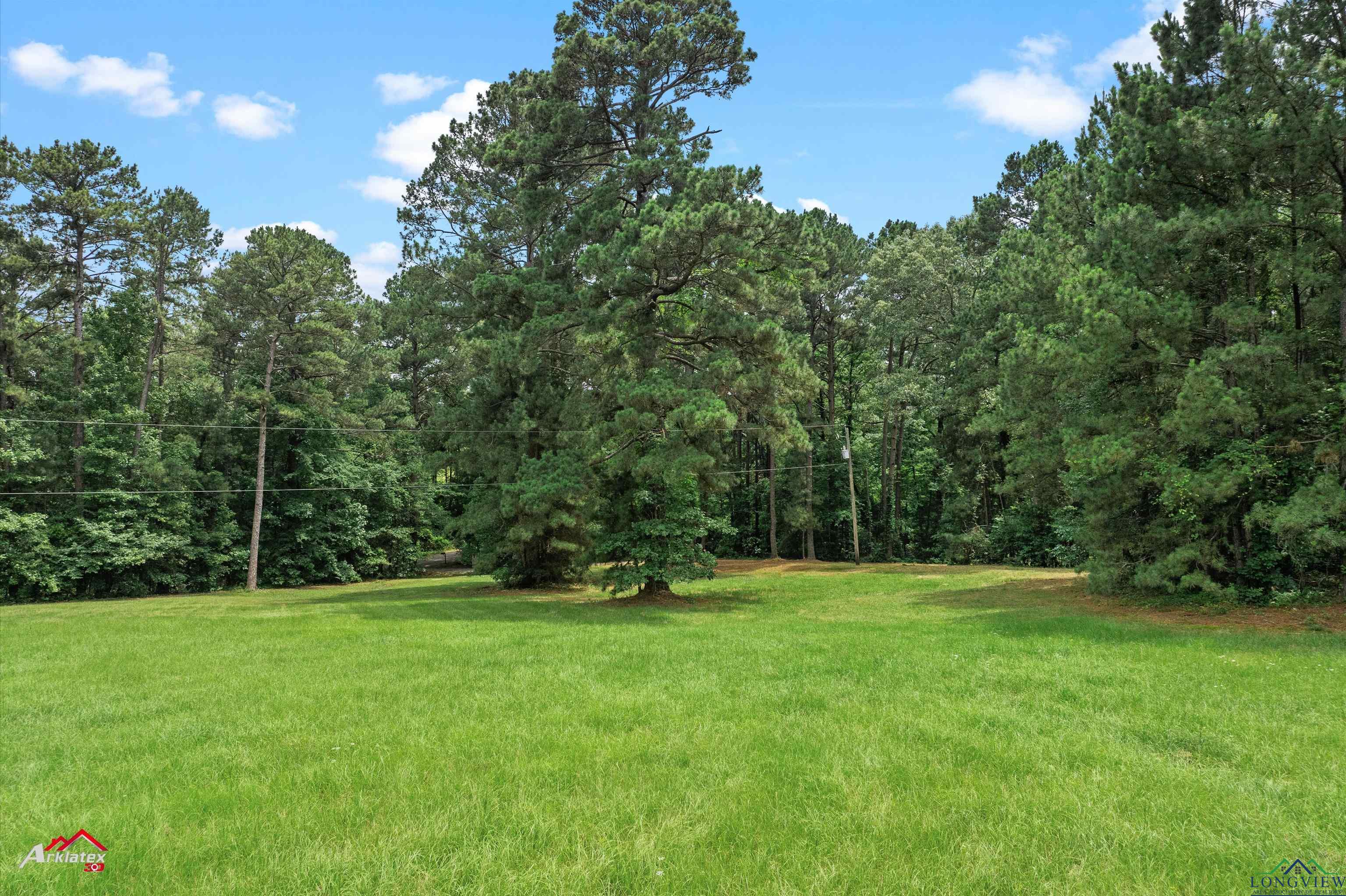 529 Munden Dance Hall Rd, Marshall, Texas image 41