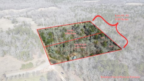 Vacant Land For Sale - LOTS 92-93 Francis Ln<br/> Diana, TX 75640