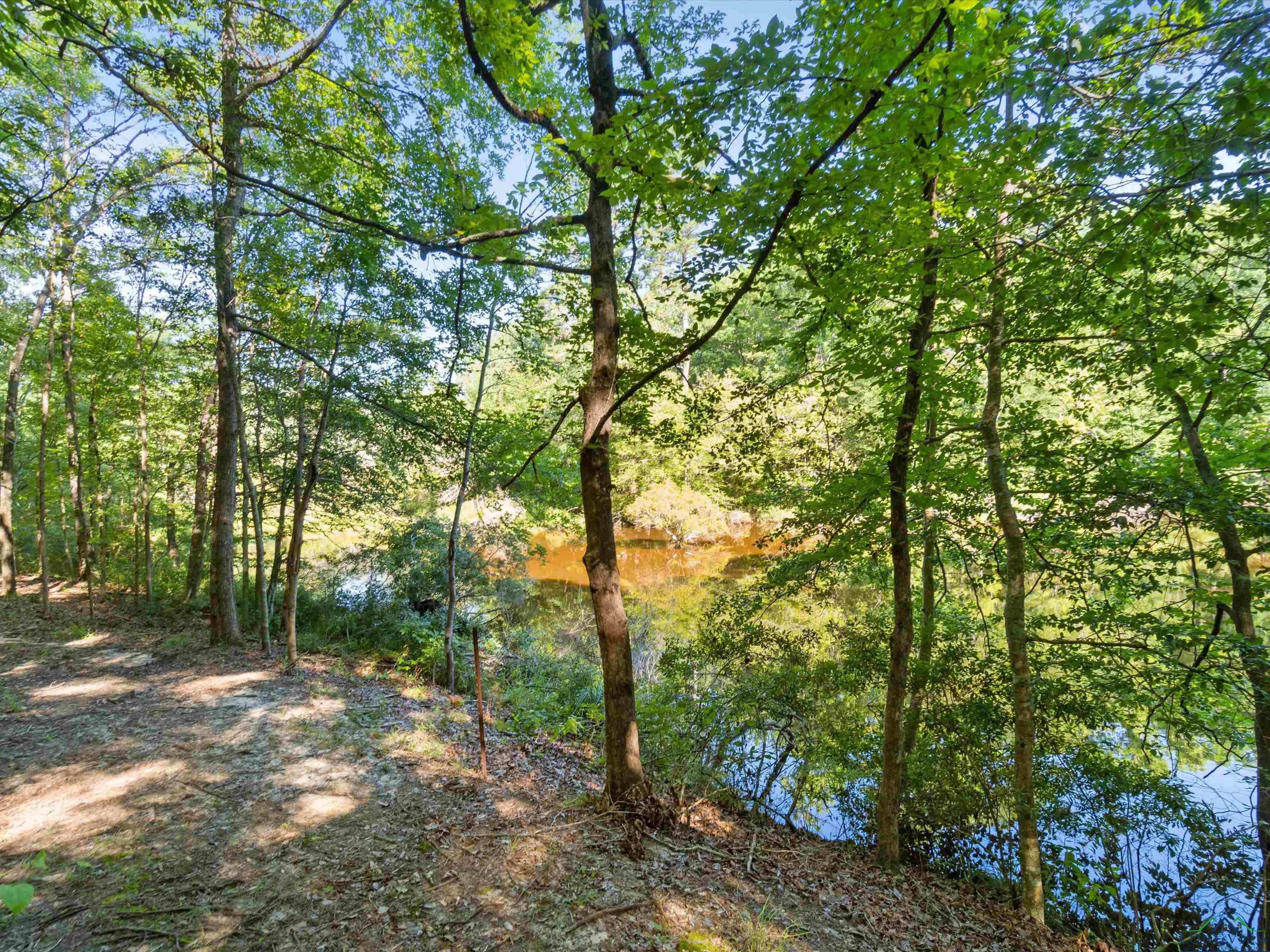 TBD Hydrangea Rd E/sid, Ore City, Texas image 6