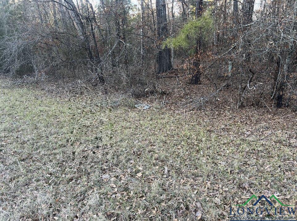 TBD Sh 49, Jefferson, Texas image 3
