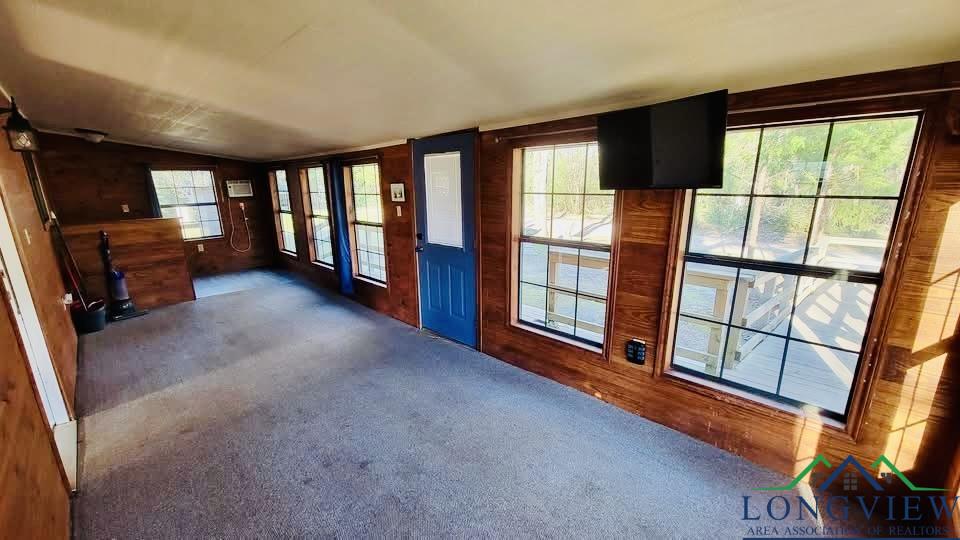 4221 Cr 1579, Avinger, Texas image 44