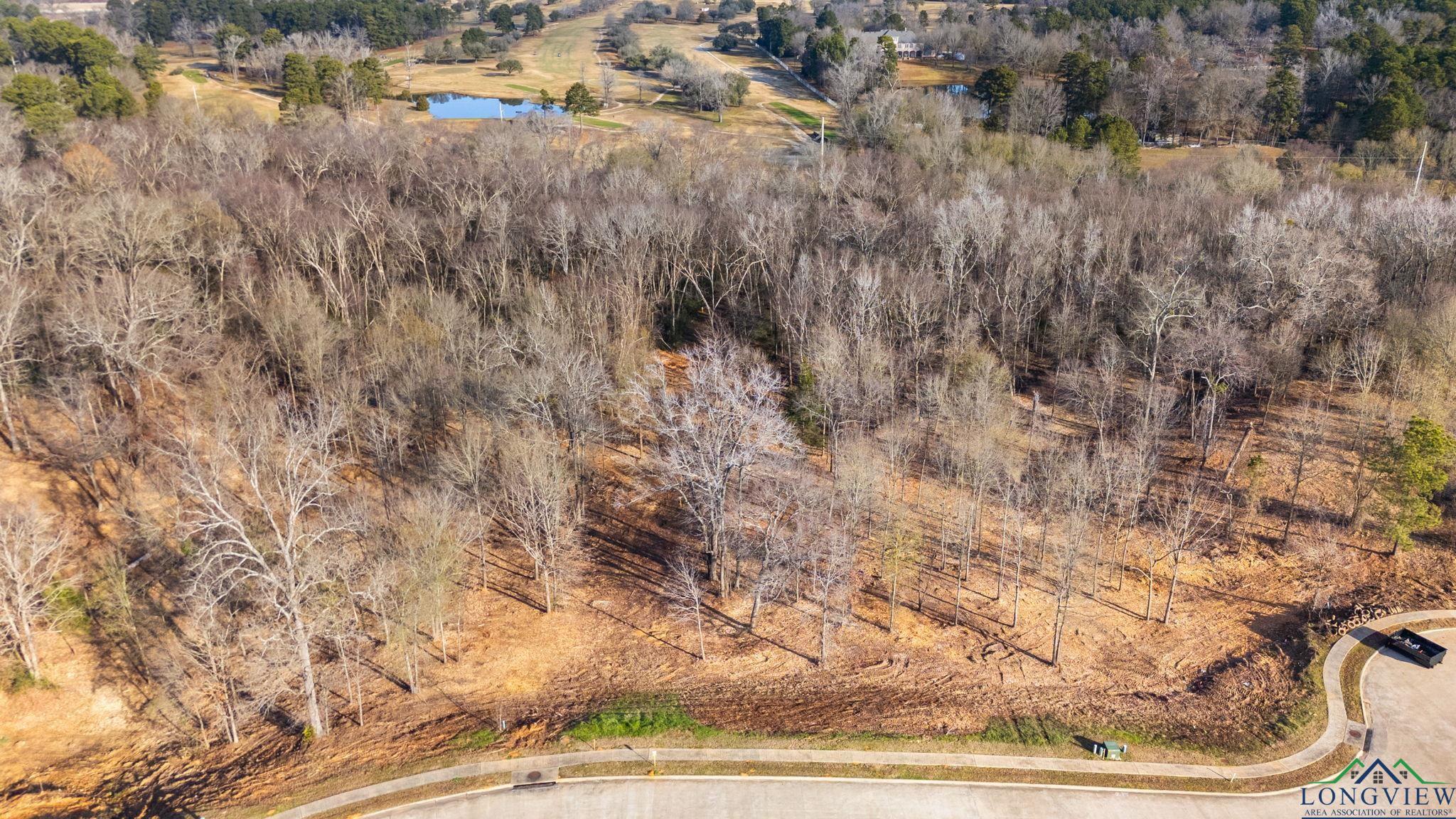 4223 Savannah Hills Ln (lot 11) Ln, Longview, California image 11