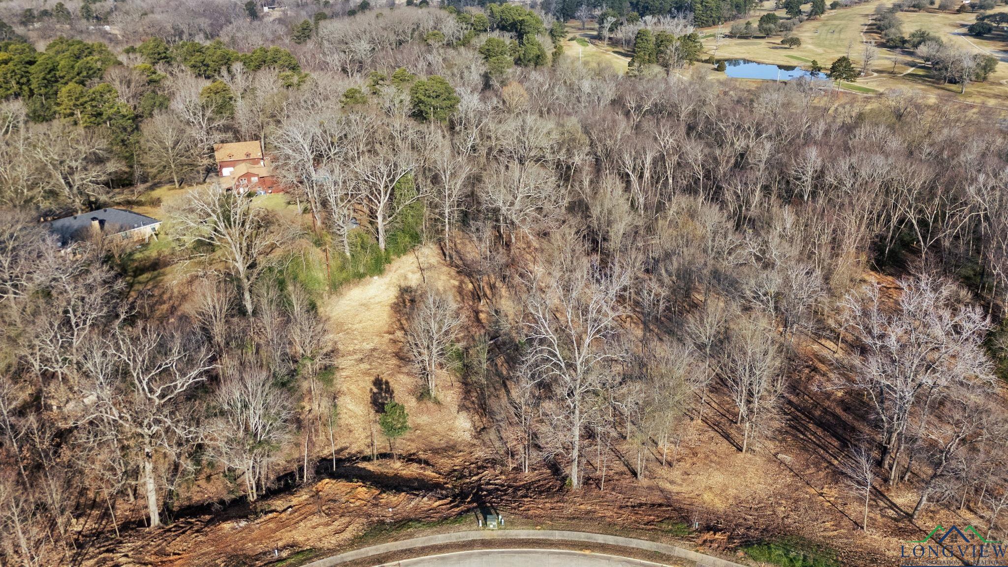 4223 Savannah Hills Ln (lot 11) Ln, Longview, California image 9
