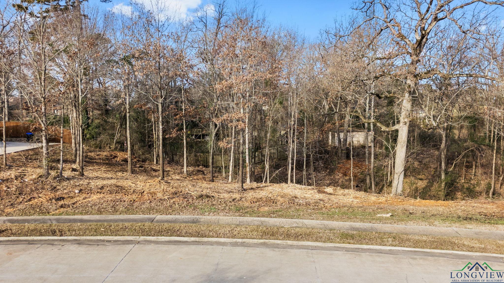 4223 Savannah Hills Ln (lot 11) Ln, Longview, California image 7