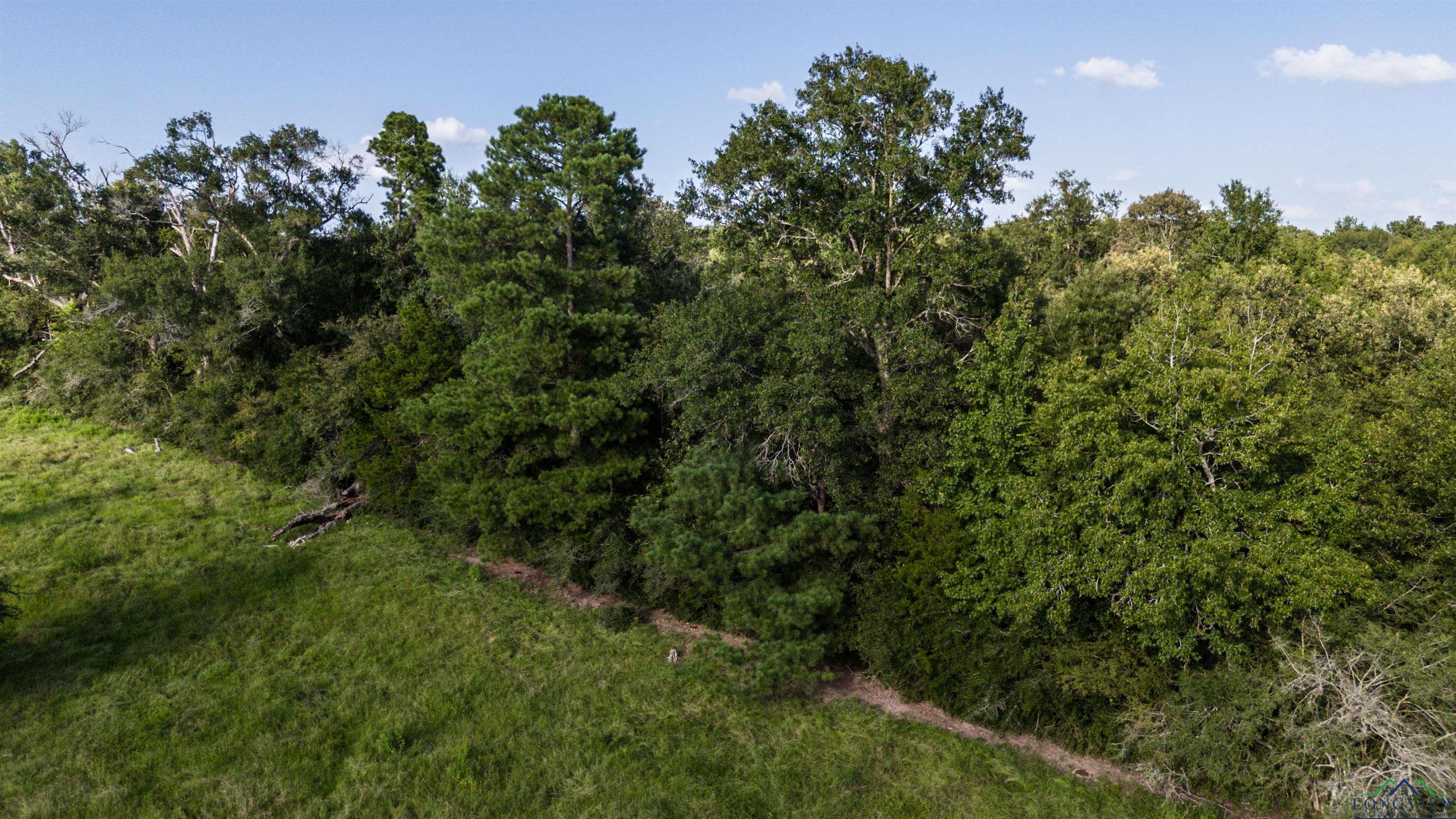 0000 Cr 4651, Timpson, Texas image 13