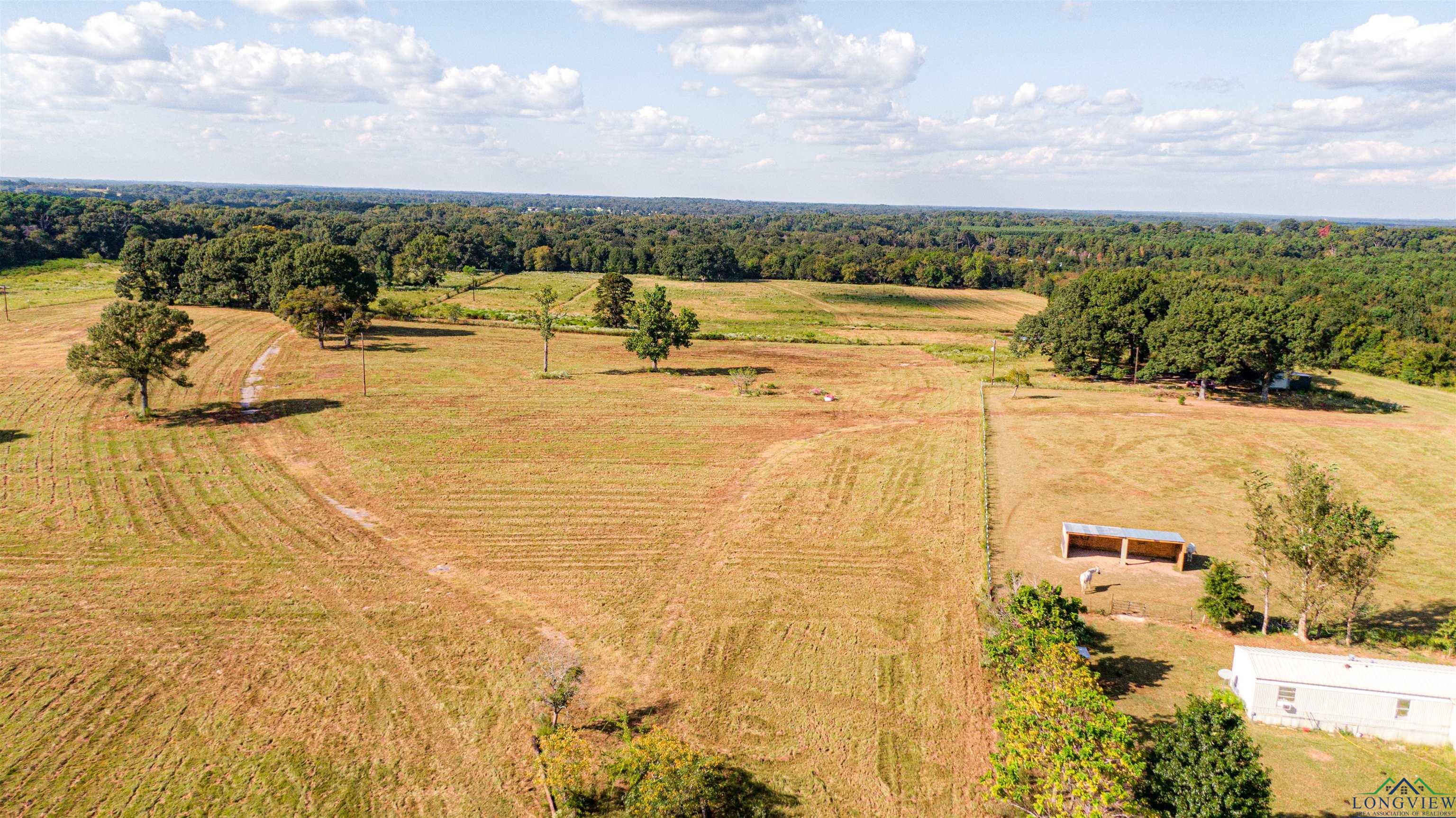 3163 Fm 2088, Quitman, Texas image 1