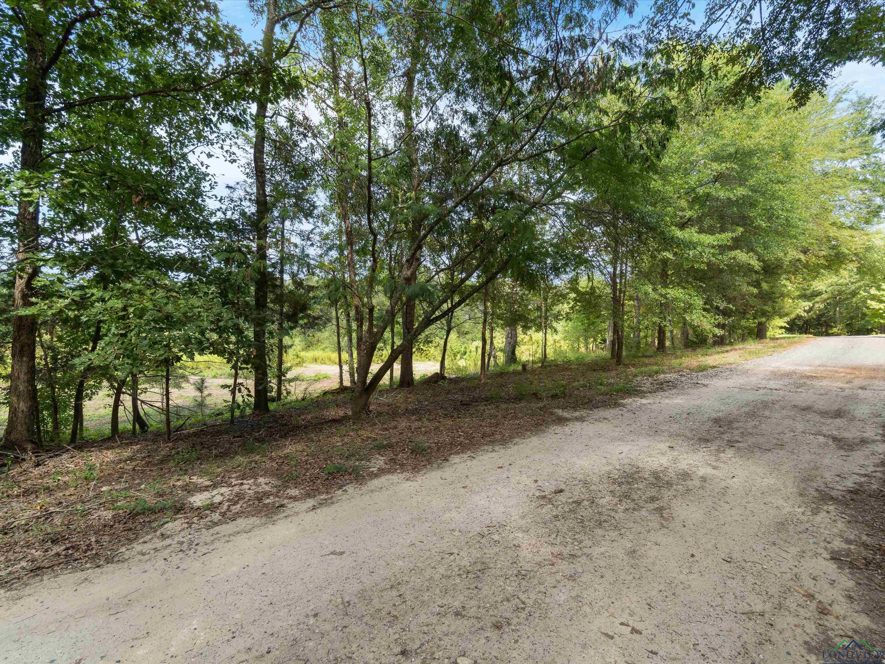 1272 Private Road 1062, Gilmer, Texas image 22