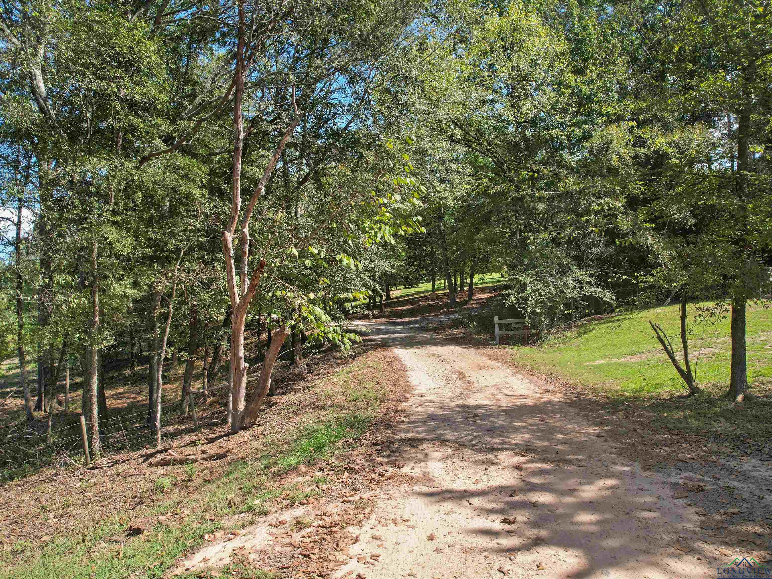 1272 Private Road 1062, Gilmer, Texas image 20