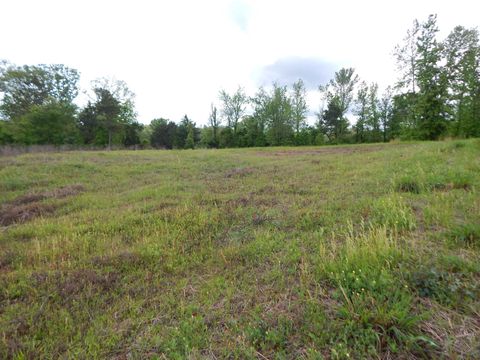 Vacant Land For Sale - TBD Eagle Court<br/> Diana, TX 75640