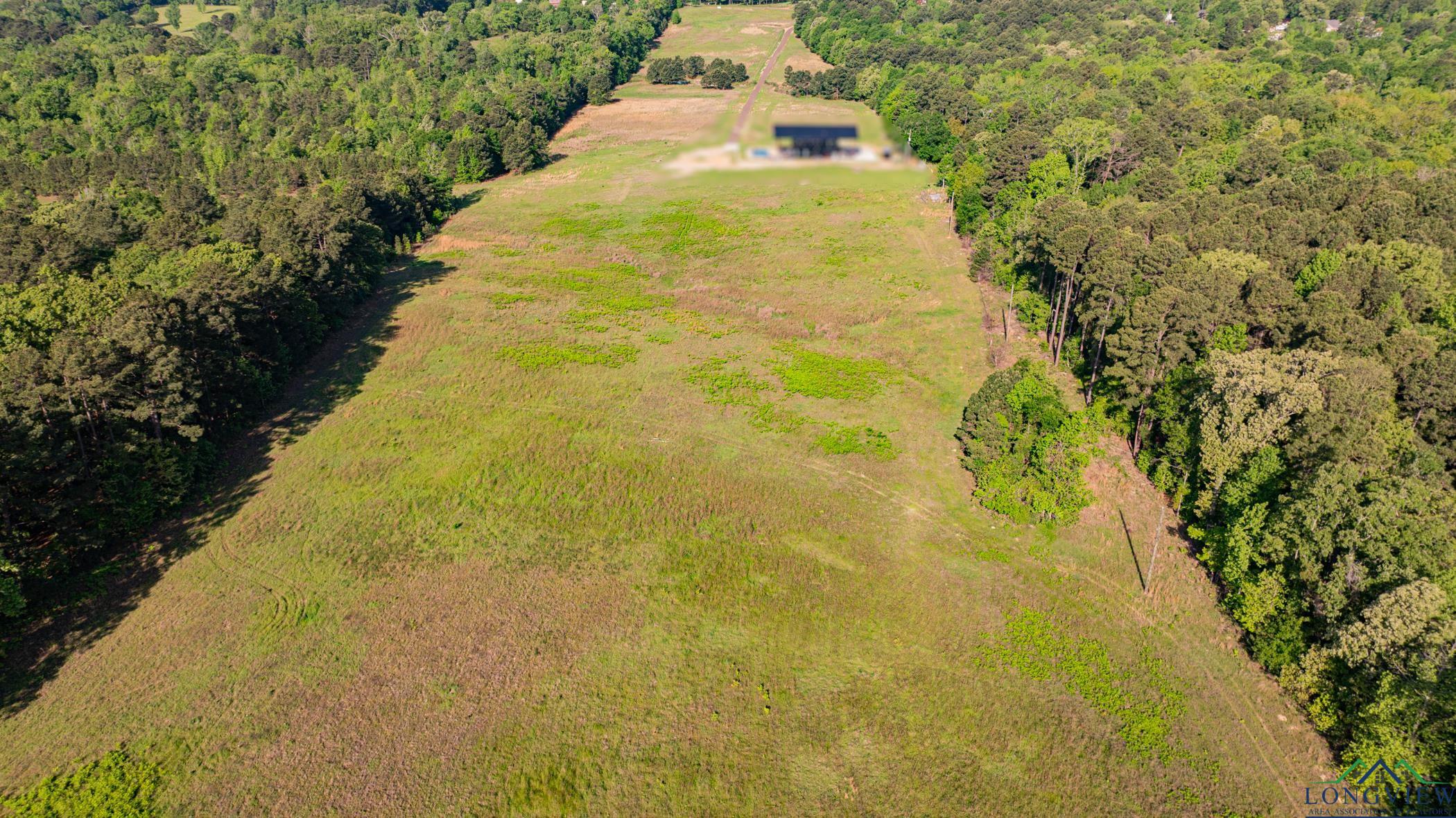 1113 Firetower Rd, Hallsville, Texas image 3