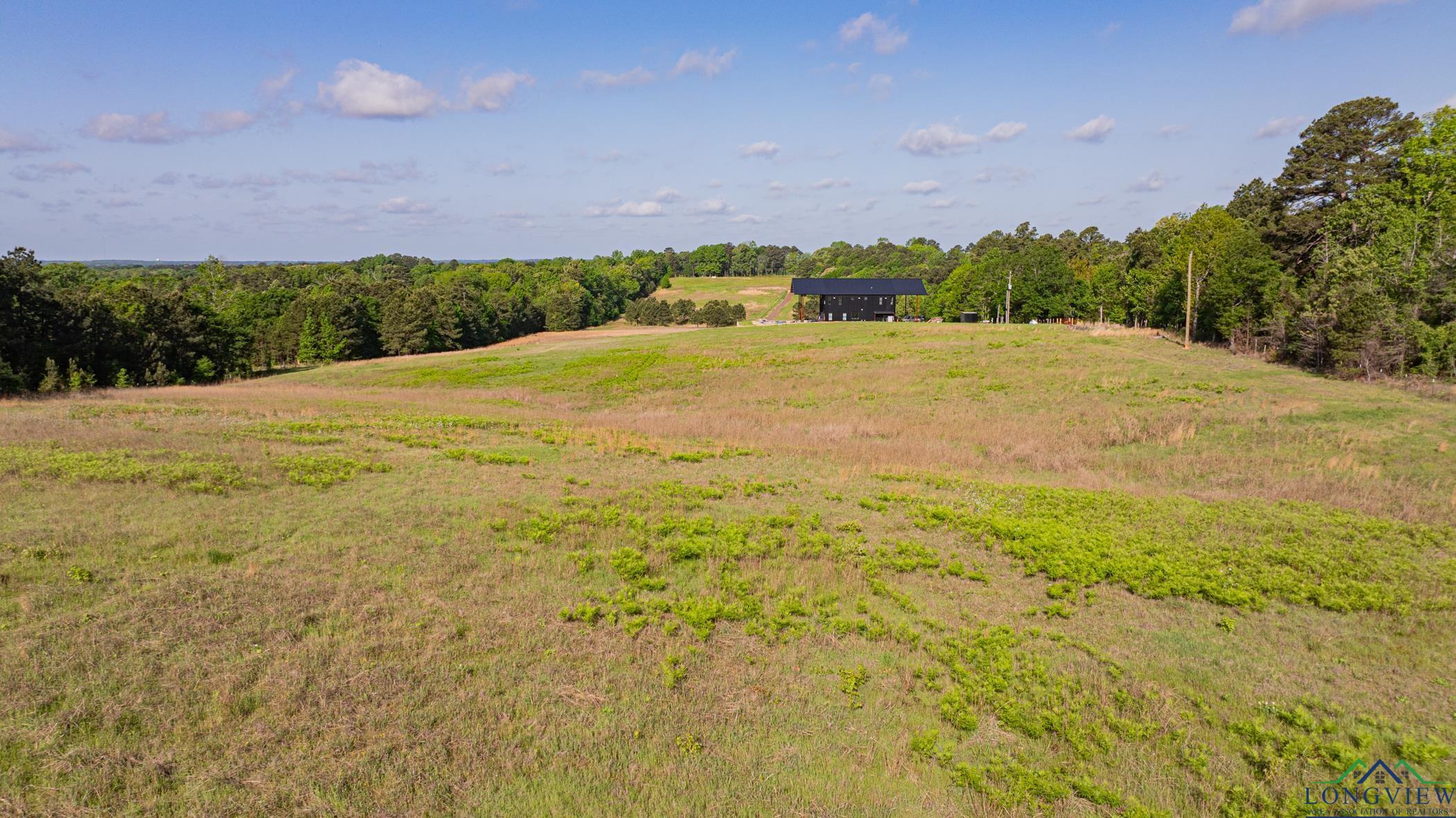 1113 Firetower Rd, Hallsville, Texas image 1