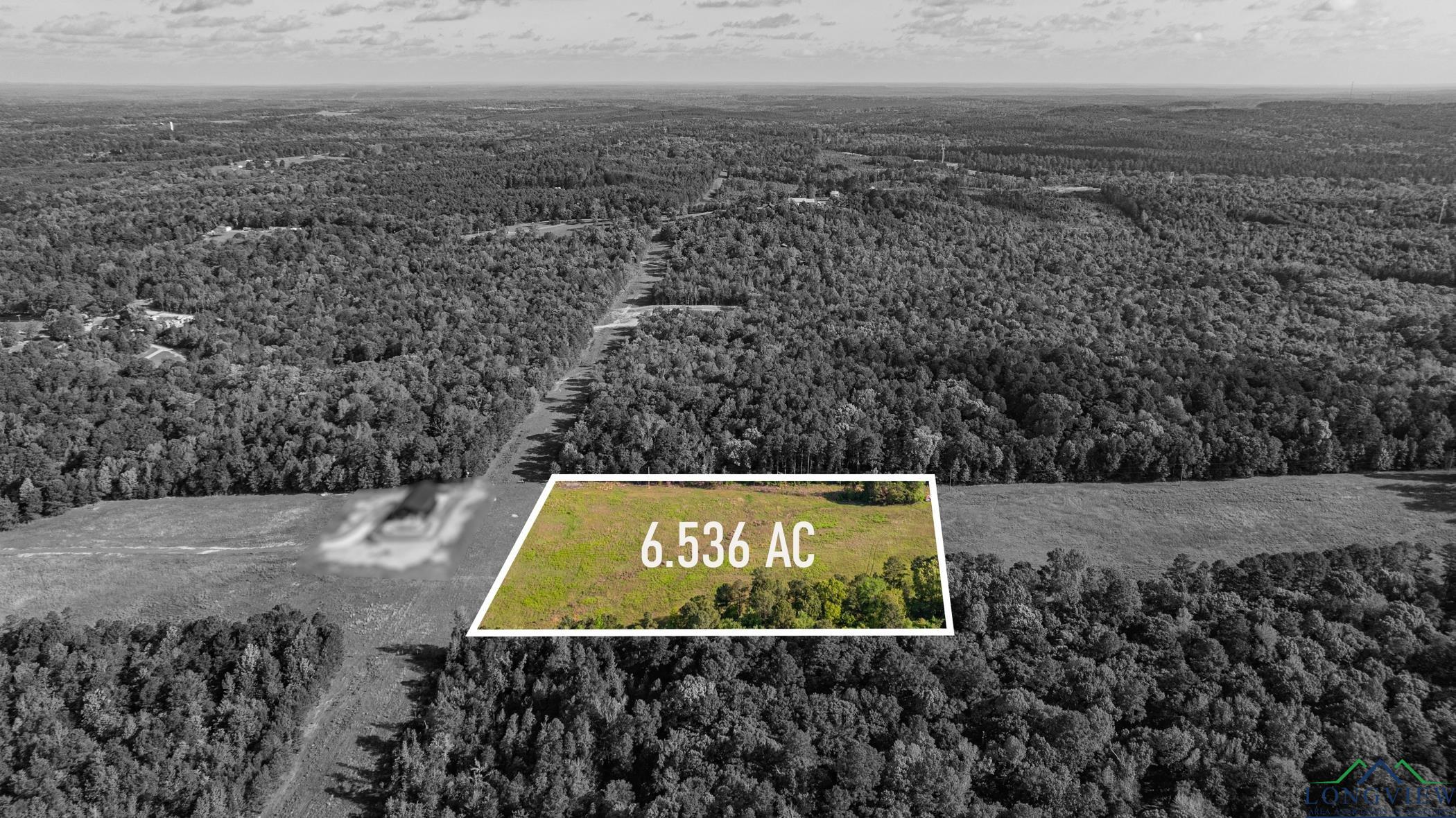 1113 Firetower Rd, Hallsville, Texas image 4