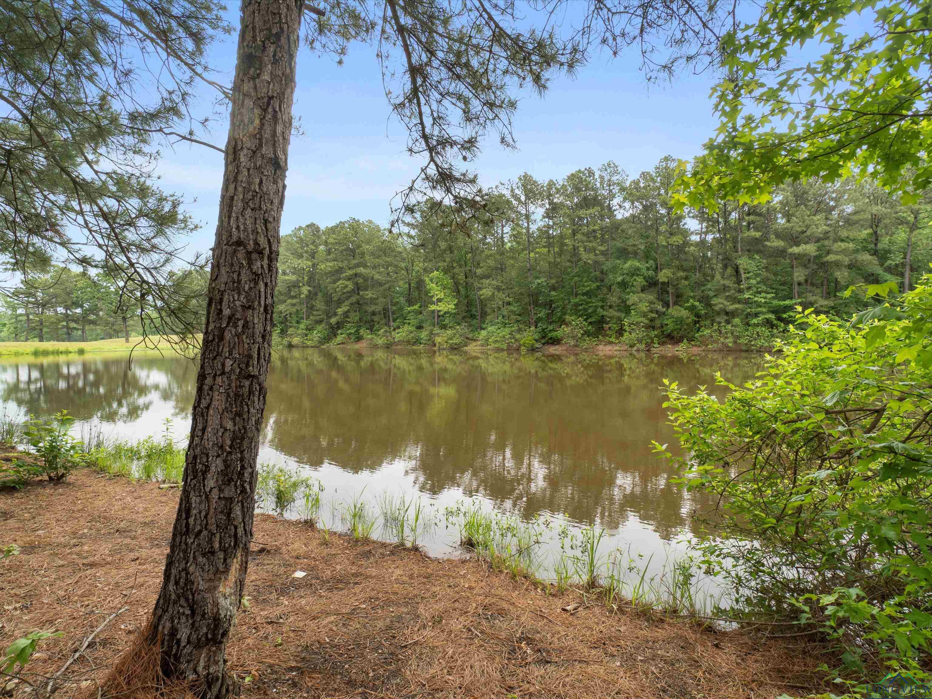 163 Maggie Ln, Gilmer, Texas image 34