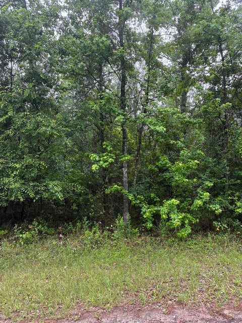 Vacant Land For Sale - TBD LOT 561 Tbd Eagle Bluff Loop Lot 561<br/> Avinger, TX 75630