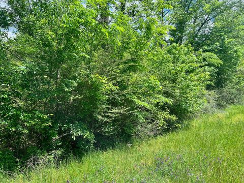 Vacant Land For Sale - TBD N Highway 87<br/> Center, TX 75935