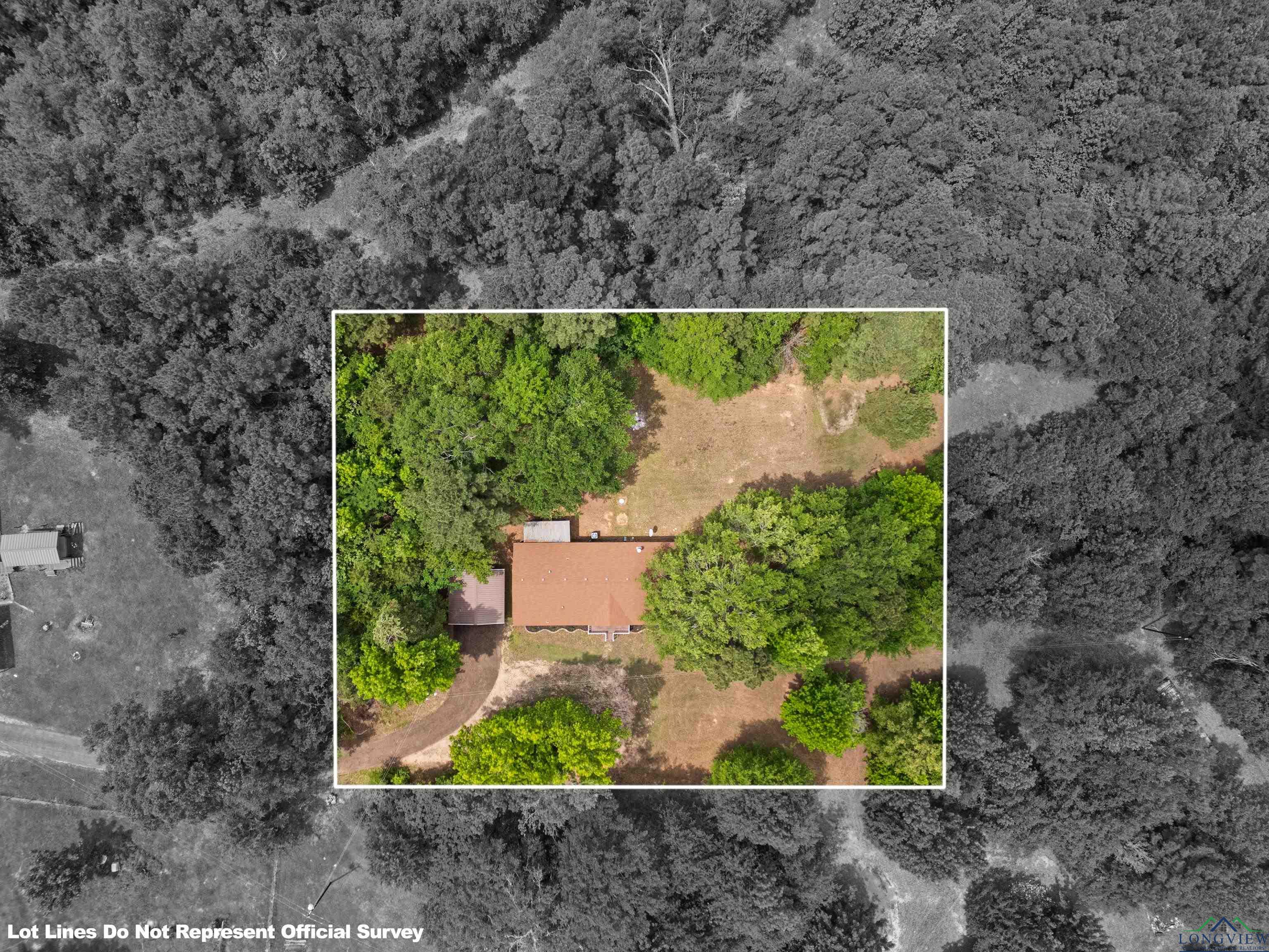 780 Old Hwy 31, Kilgore, Texas image 39