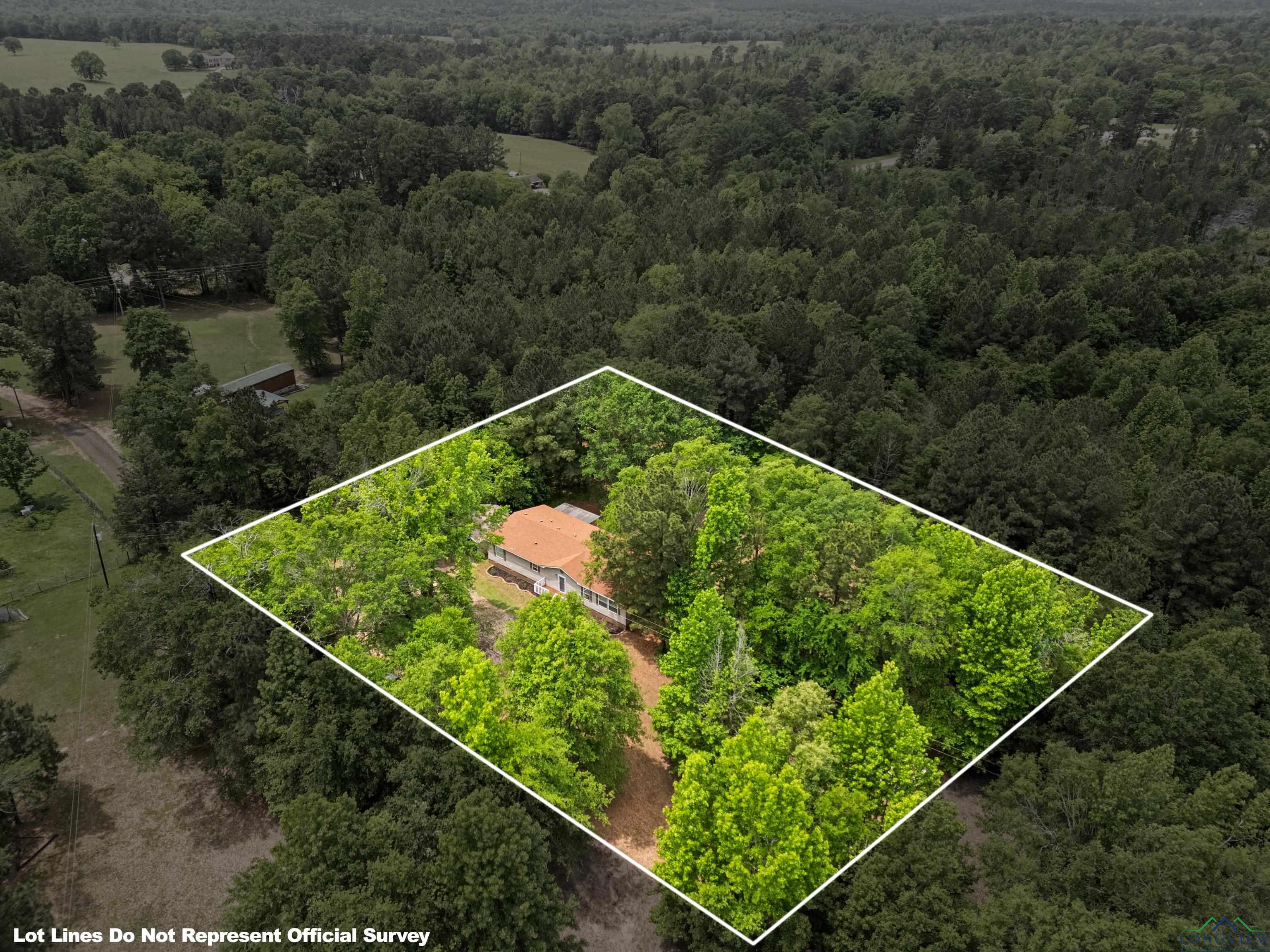 780 Old Hwy 31, Kilgore, Texas image 38
