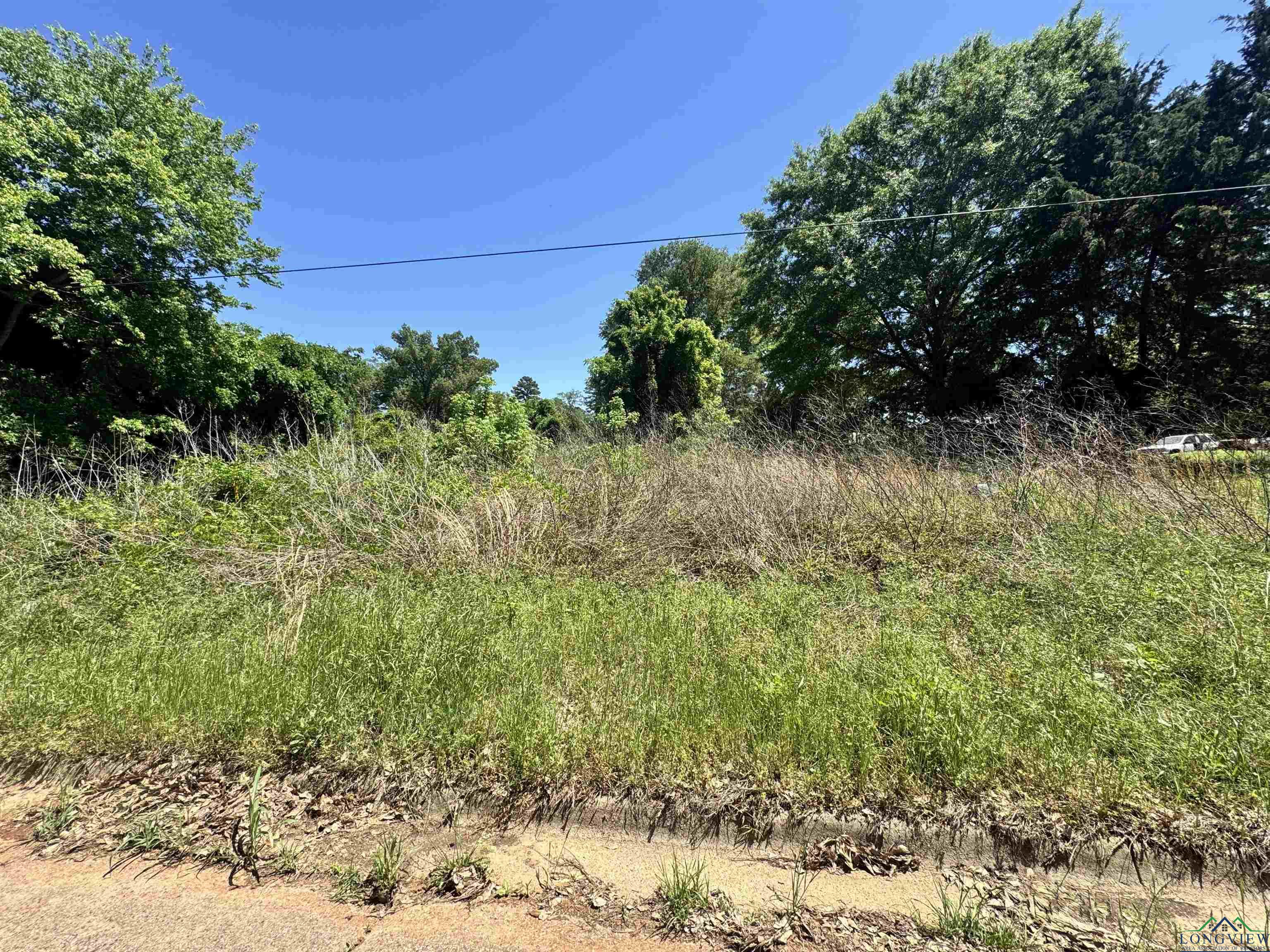 1311 N Cypress St, Gilmer, Texas image 1