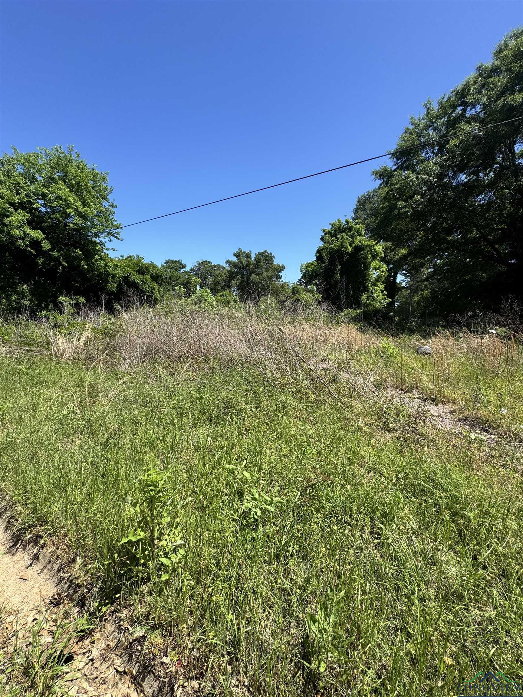 1311 N Cypress St, Gilmer, Texas image 3