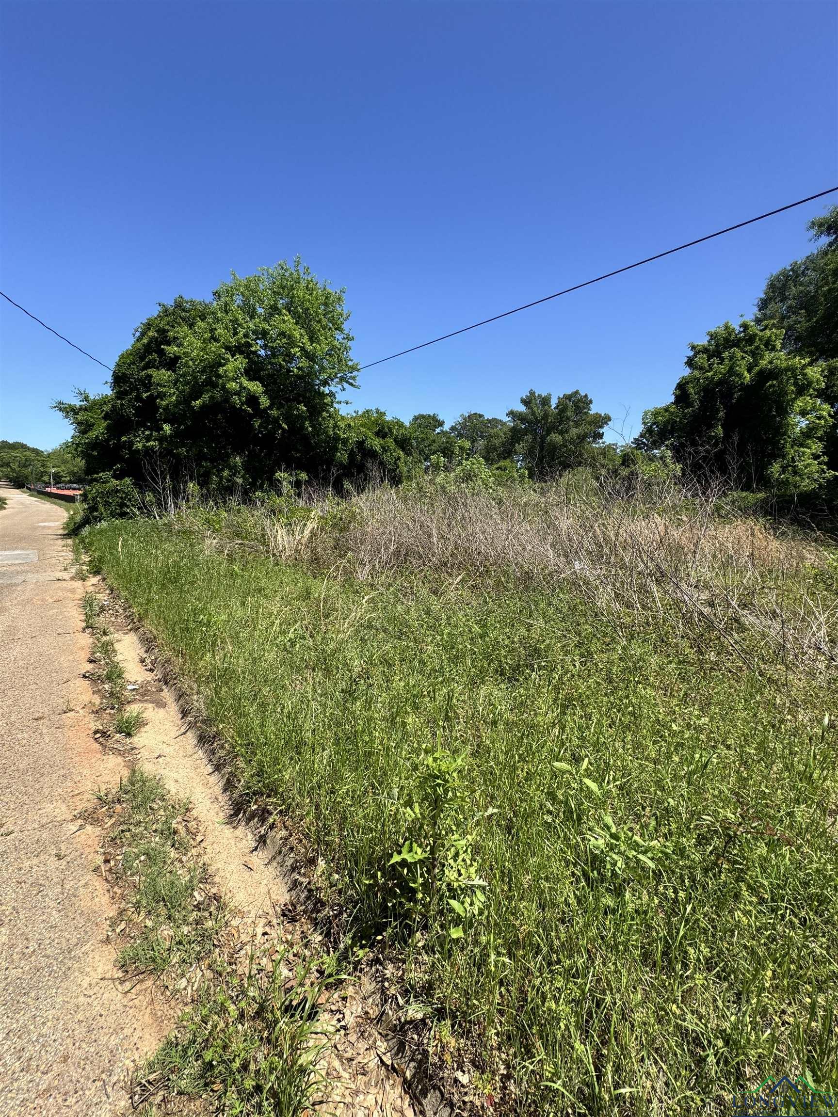 1311 N Cypress St, Gilmer, Texas image 4