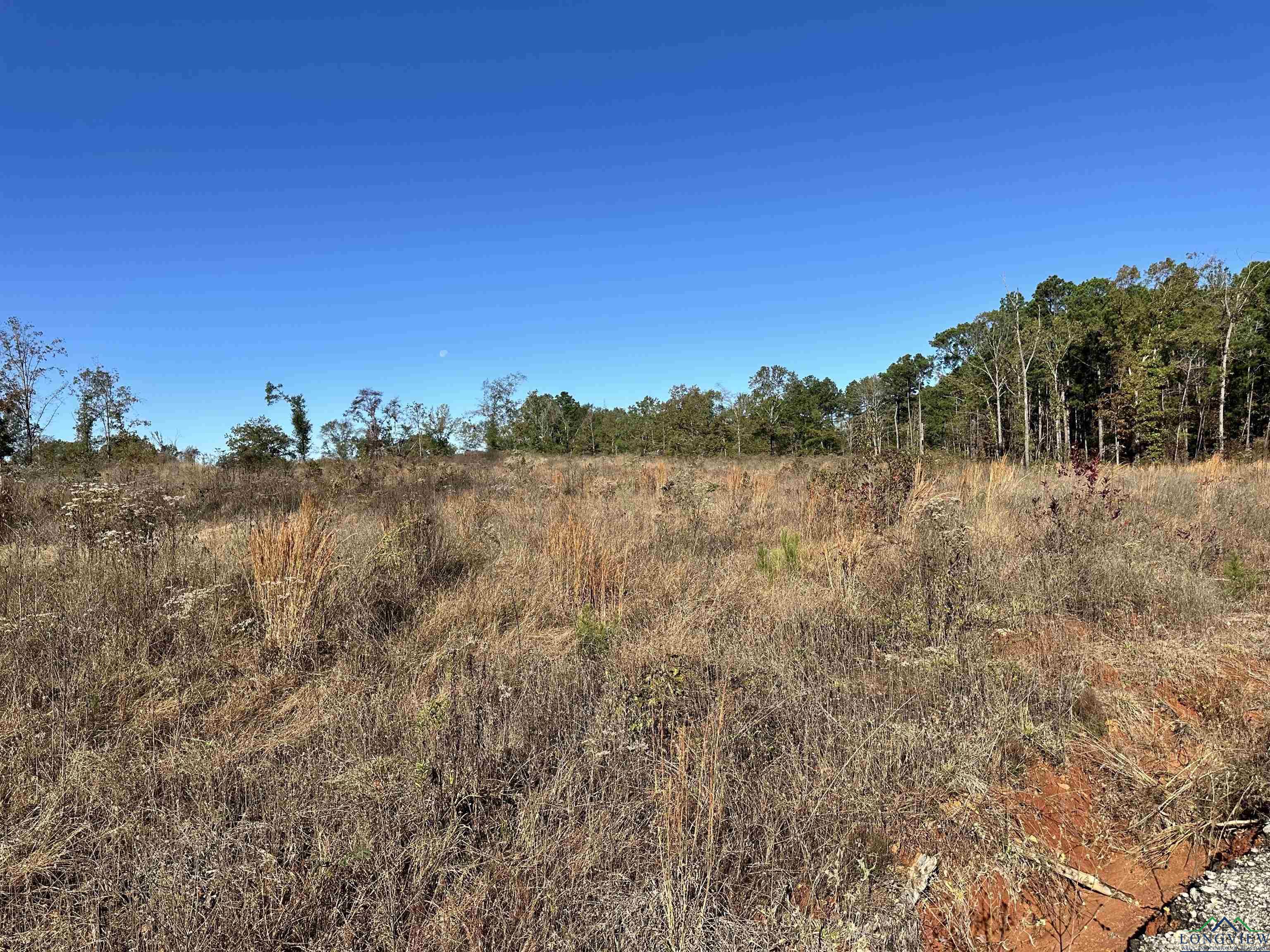 Lot 4 Pr 1111, Diana, Texas image 1