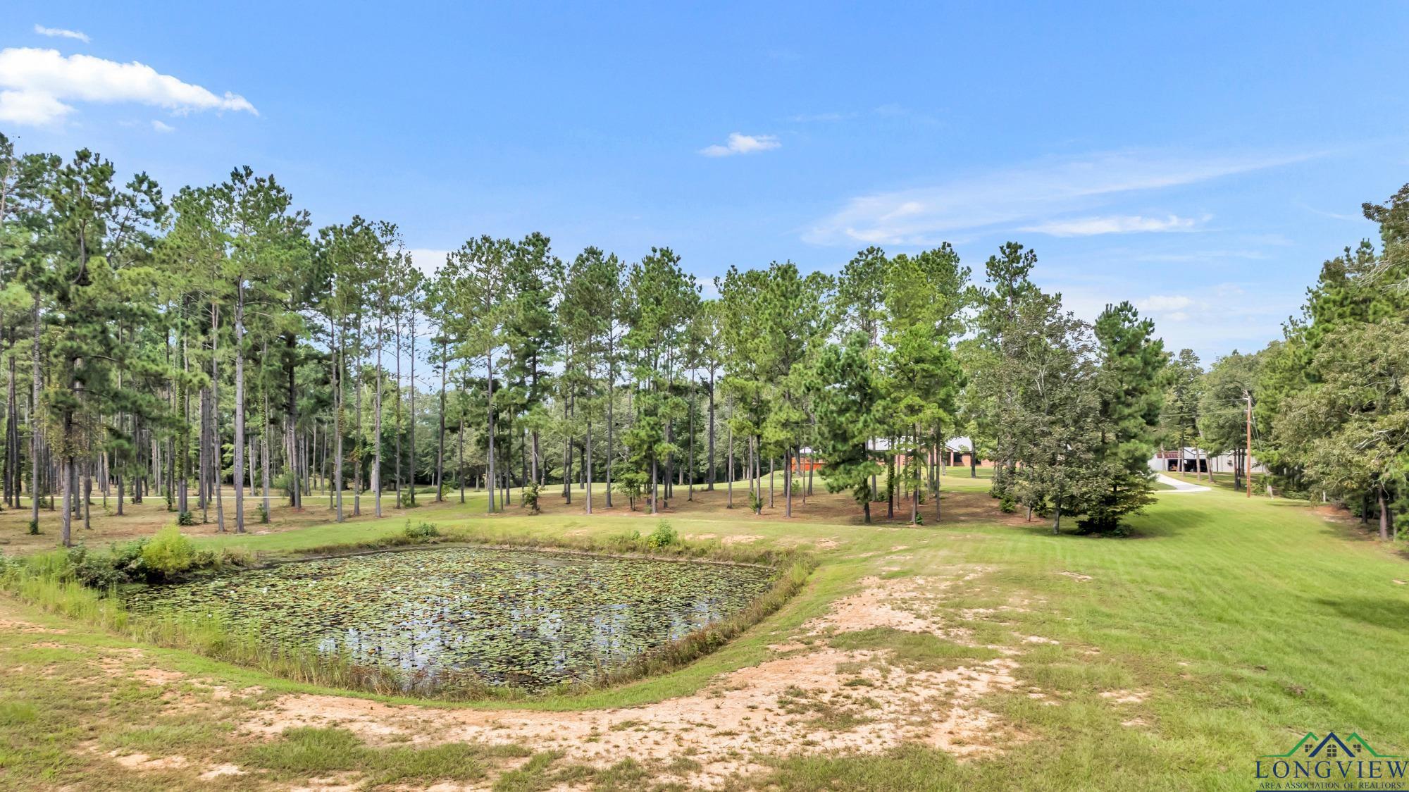 1346 Cr 481, Henderson, Texas image 33