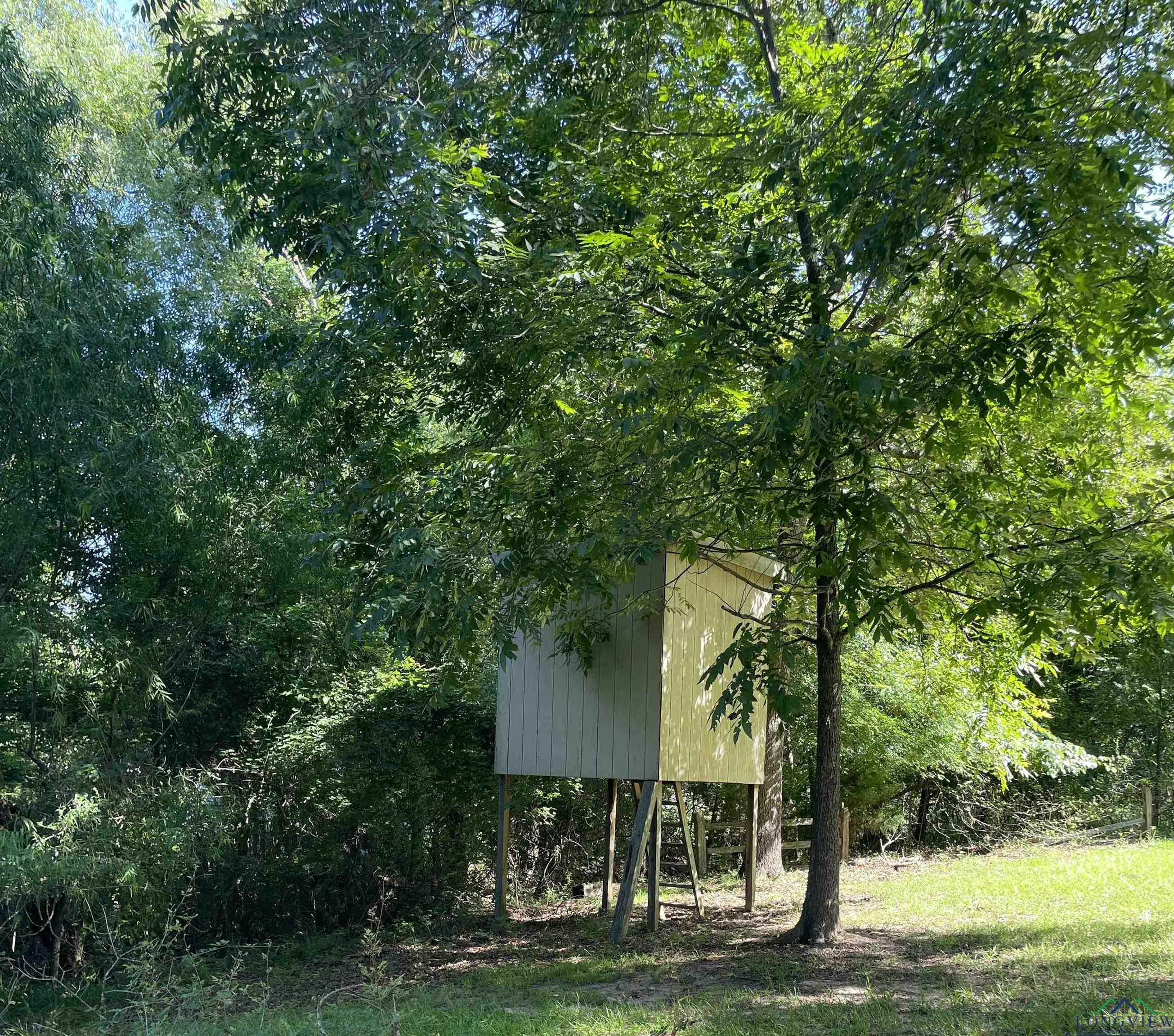 277 Pr 52436, Pittsburg, Texas image 18