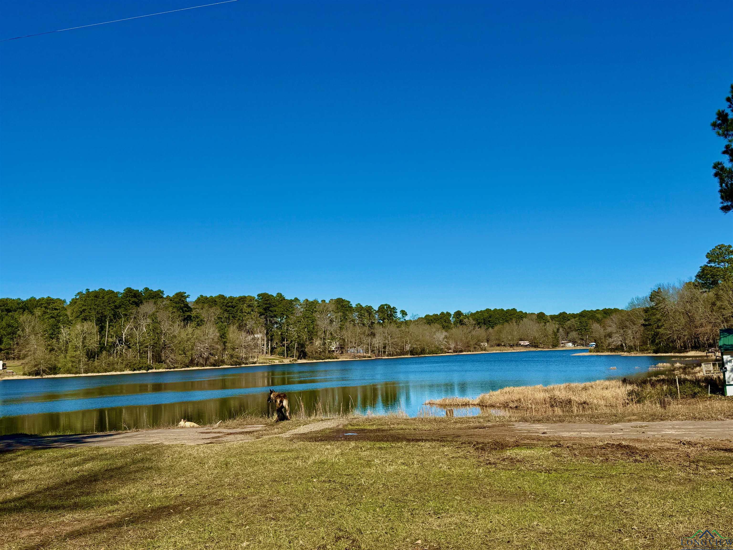 Lot 16 S Chestnut Drive, Harleton, New Mexico image 9