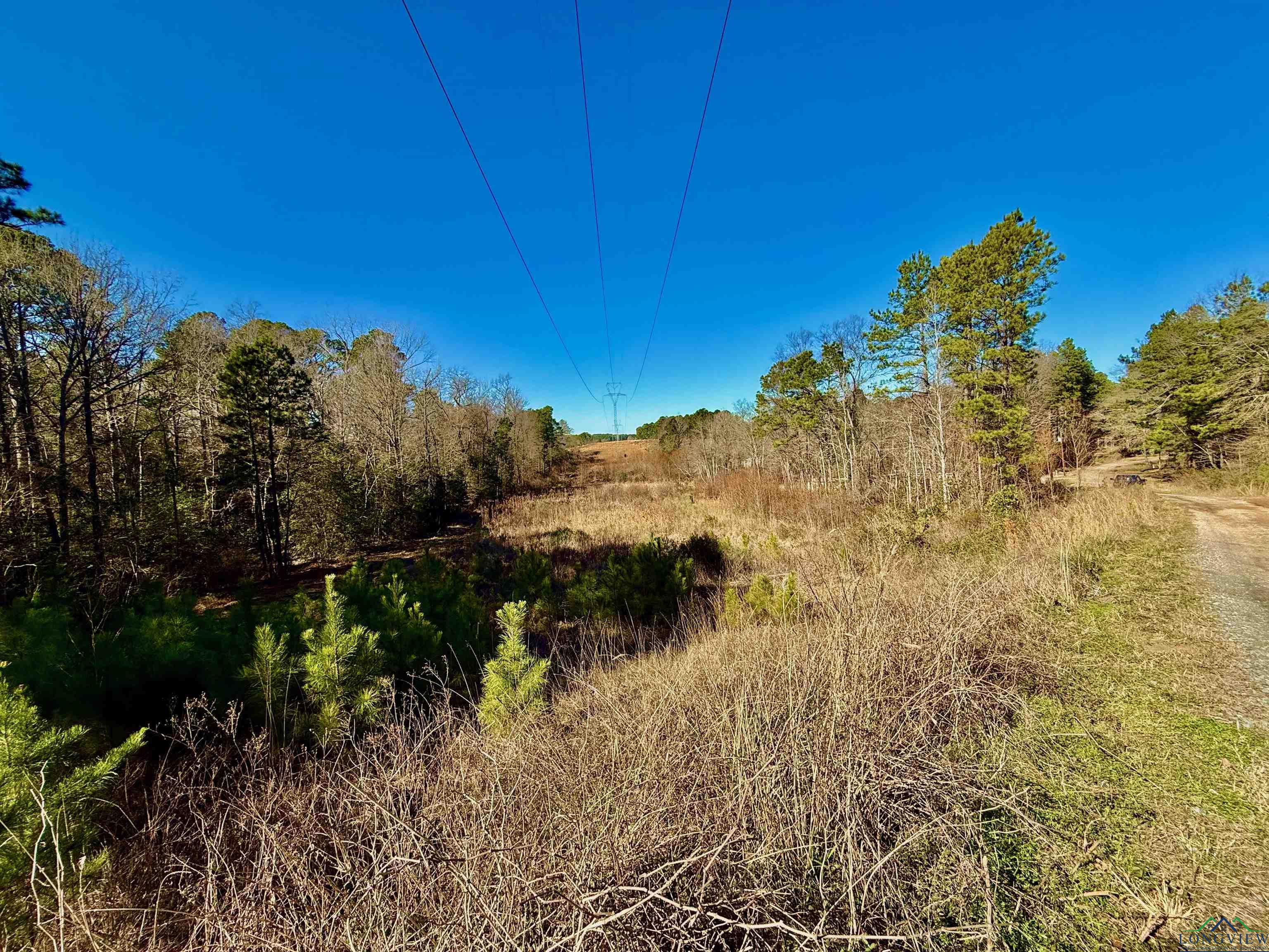 Lot 16 S Chestnut Drive, Harleton, New Mexico image 1