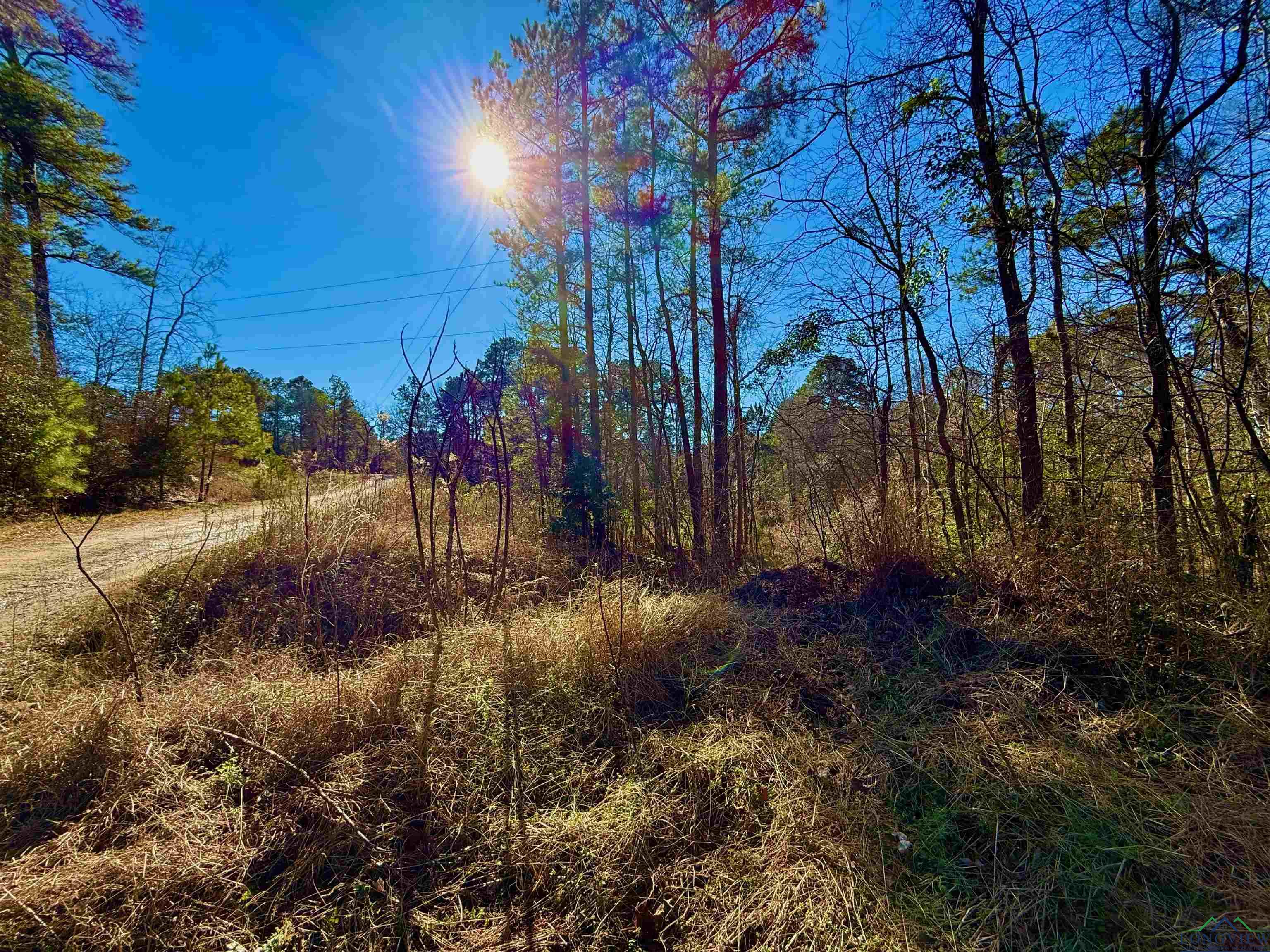 Lot 16 S Chestnut Drive, Harleton, New Mexico image 2