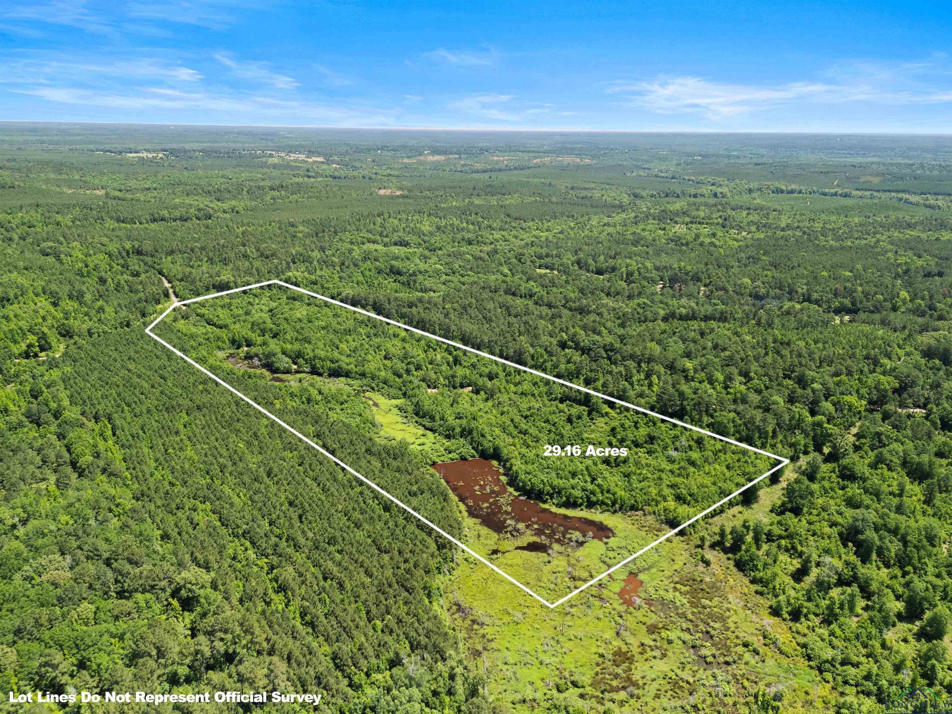 0000 Shady Grove Road, Jefferson, Texas image 9