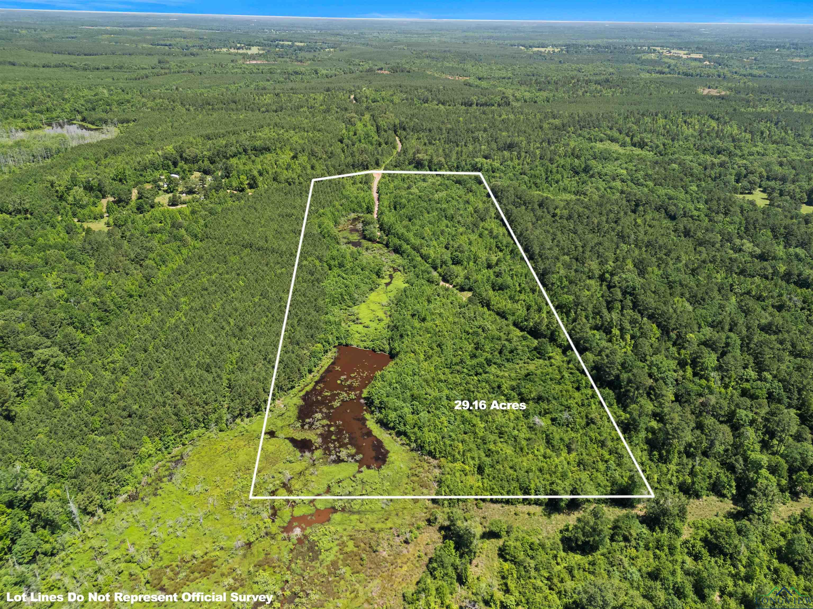 0000 Shady Grove Road, Jefferson, Texas image 5