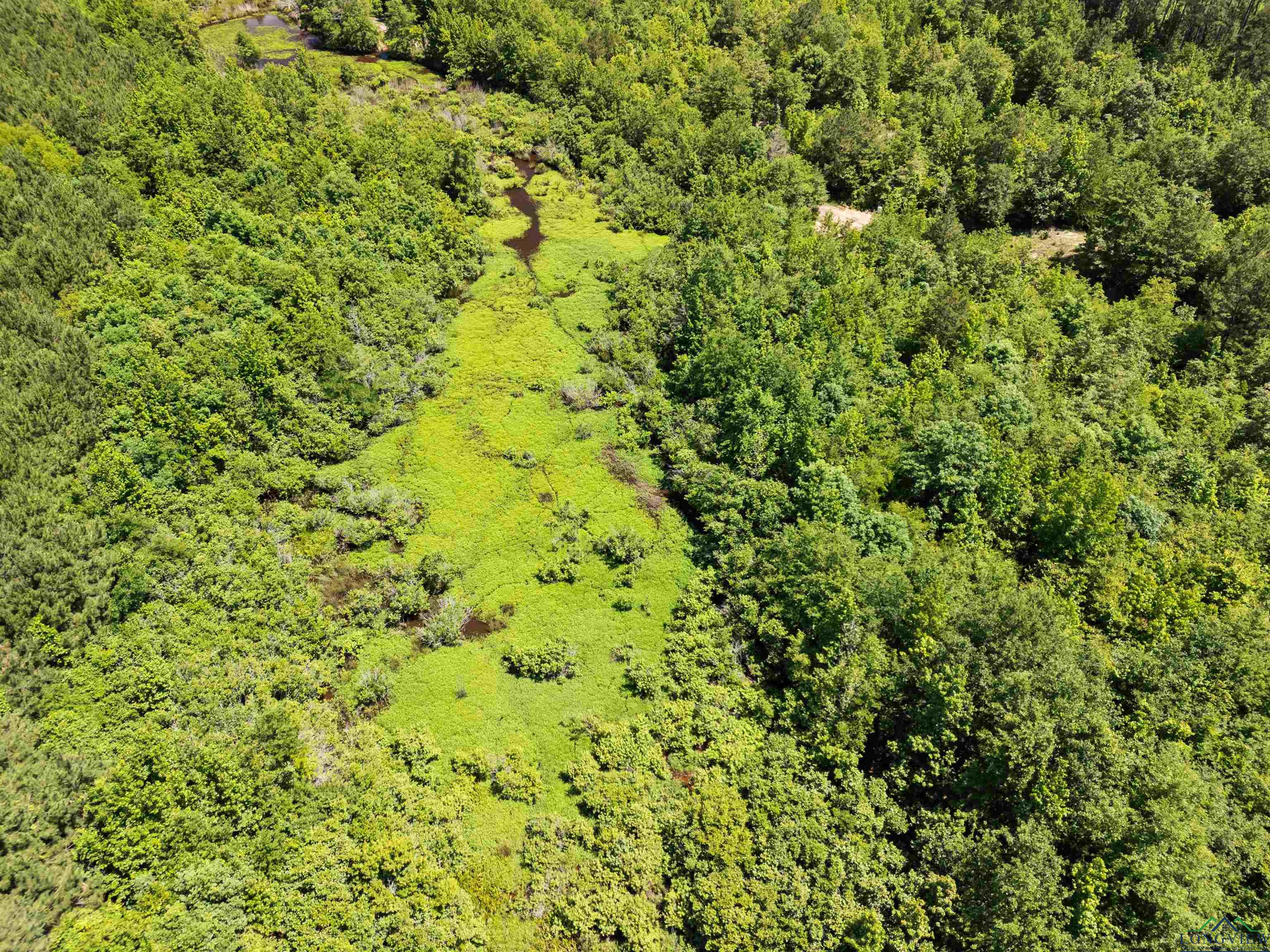 0000 Shady Grove Road, Jefferson, Texas image 11