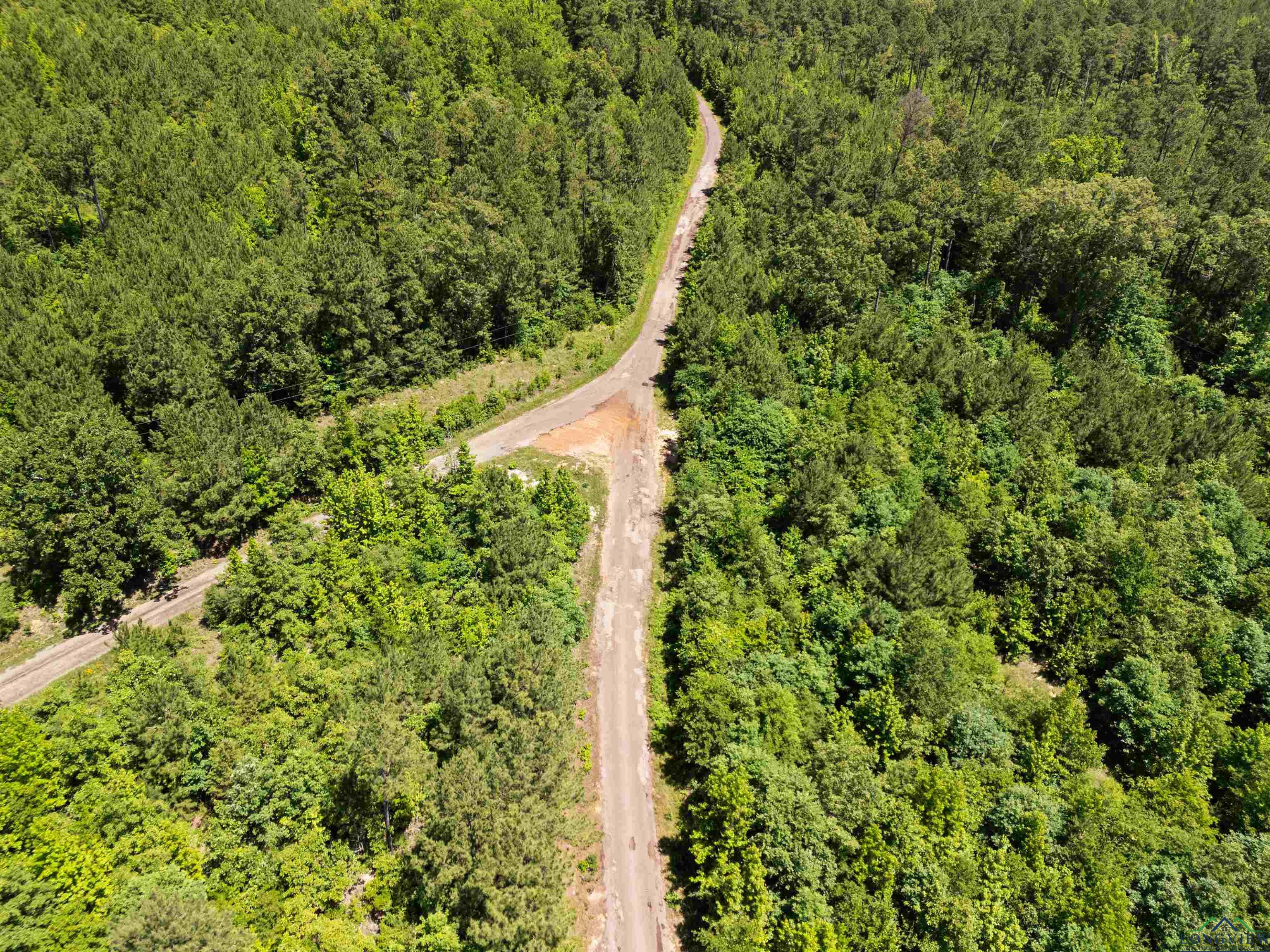 0000 Shady Grove Road, Jefferson, Texas image 6