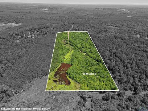 Vacant Land For Sale - 0000 Shady Grove Road<br/> Marion County, Jefferson, TX 75657