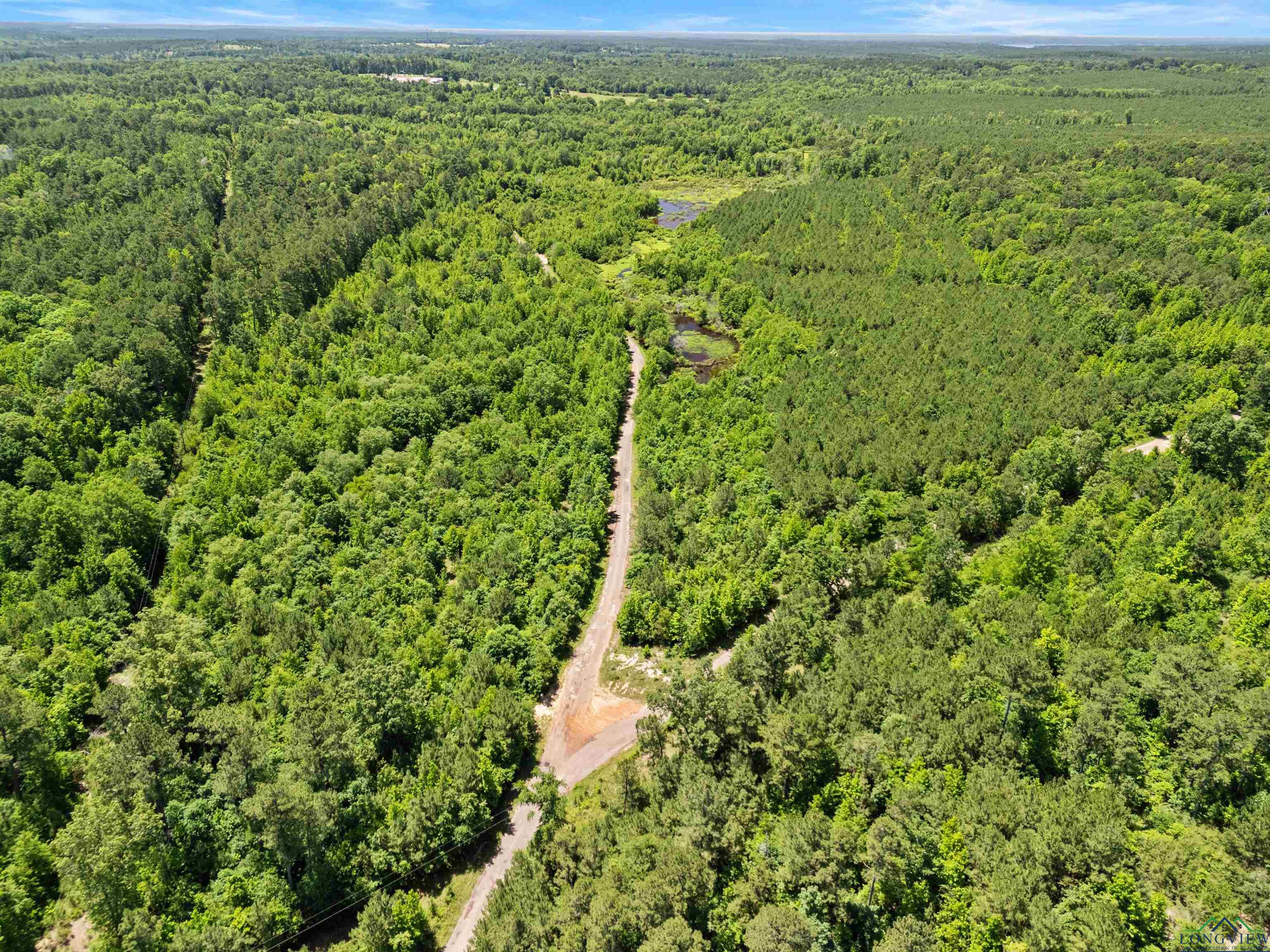 0000 Shady Grove Road, Jefferson, Texas image 2