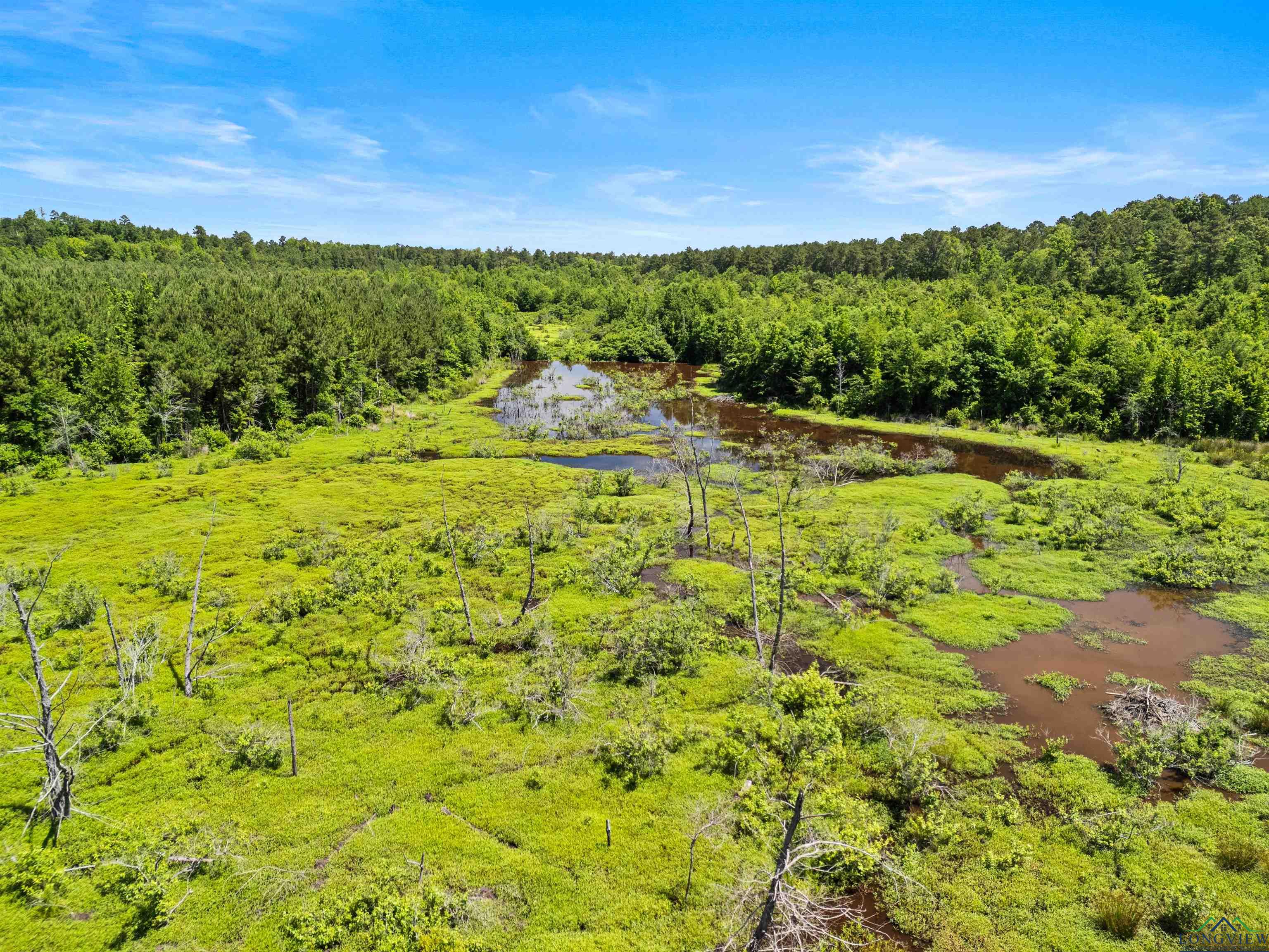 0000 Shady Grove Road, Jefferson, Texas image 15