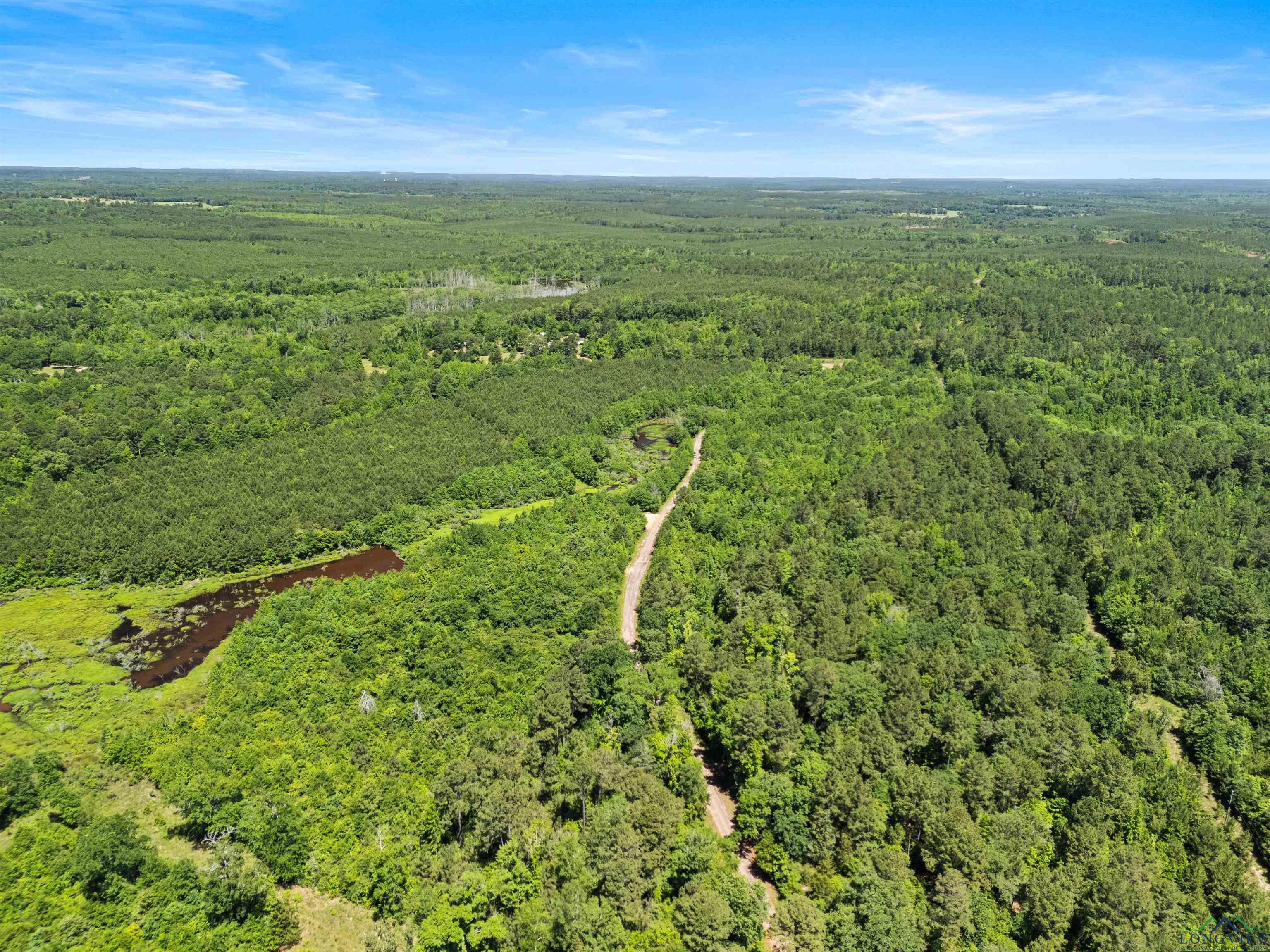 0000 Shady Grove Road, Jefferson, Texas image 10
