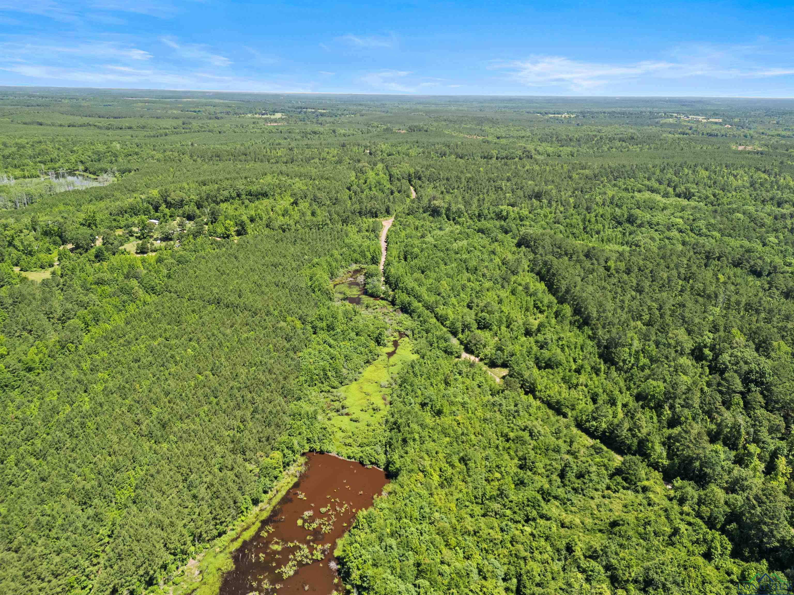 0000 Shady Grove Road, Jefferson, Texas image 14