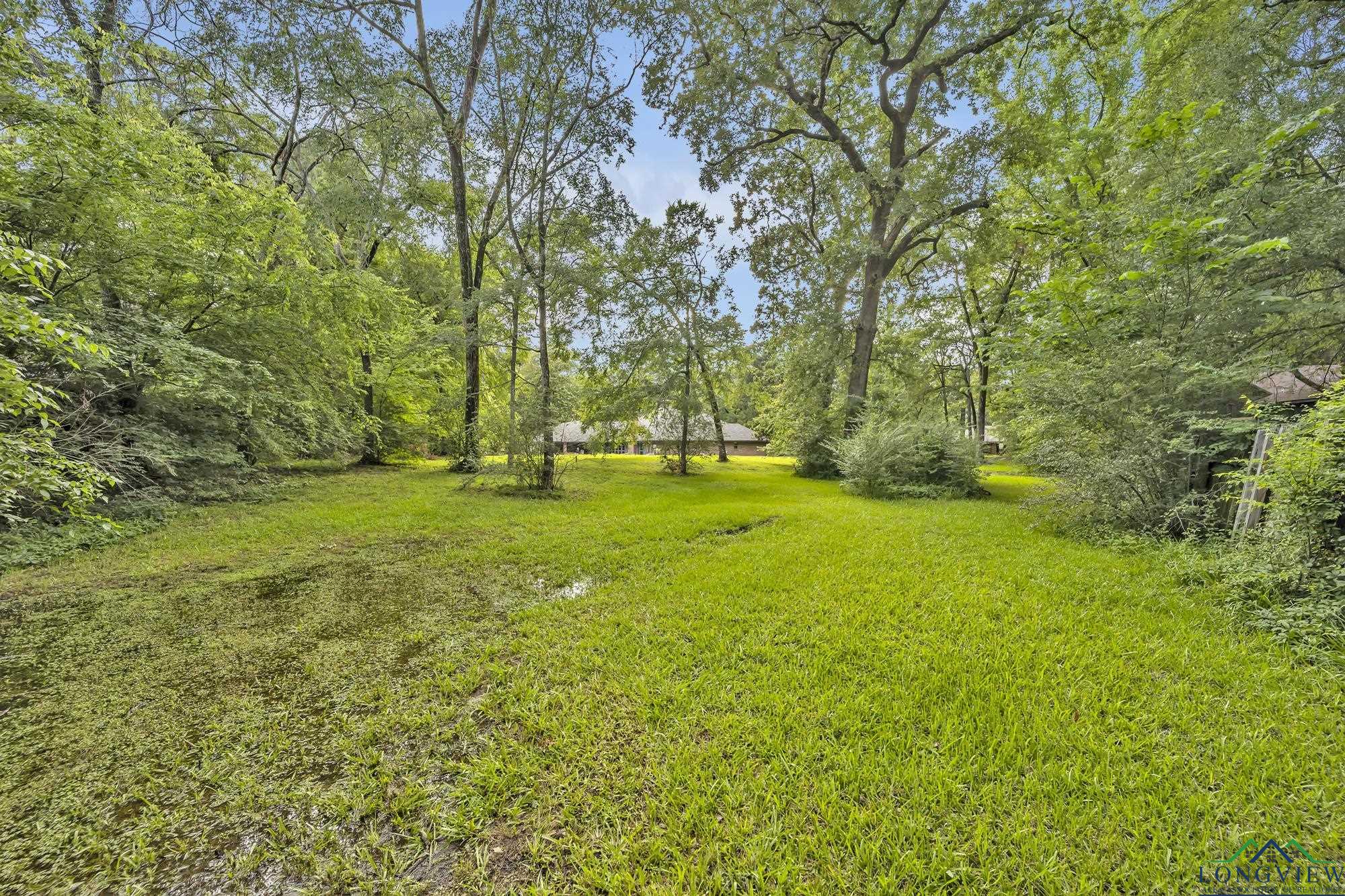 202 Timberlane Dr, Carthage, Texas image 32