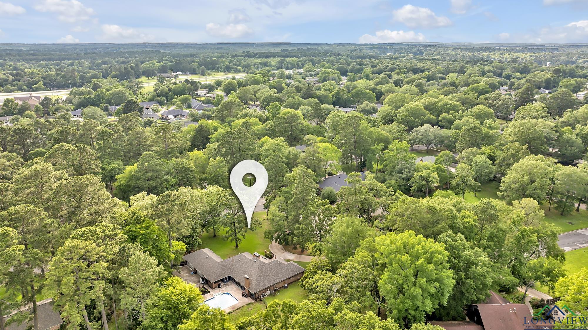 202 Timberlane Dr, Carthage, Texas image 3