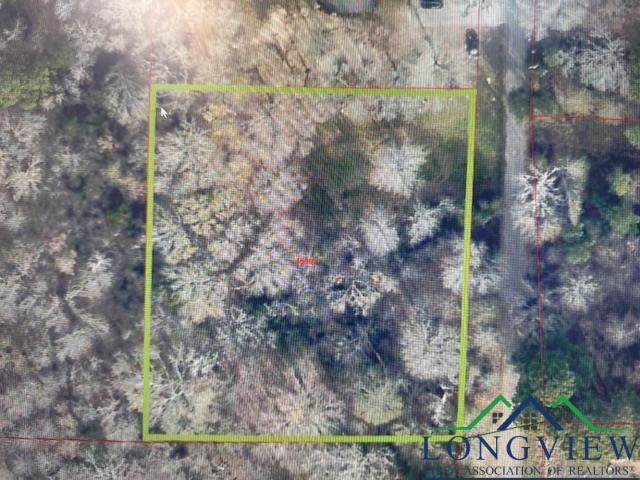 TBD N Thomas Drive, Big Sandy, New Mexico image 1